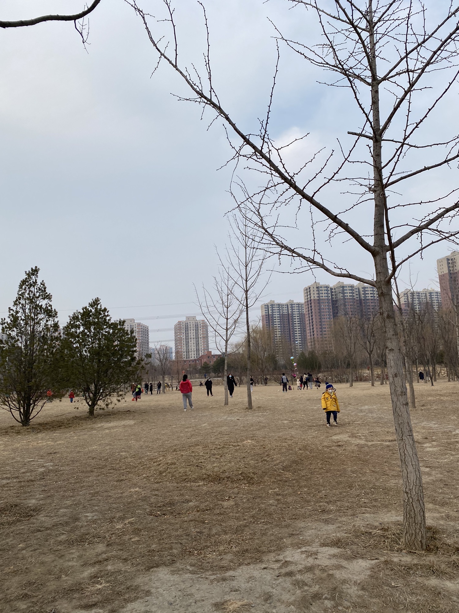 西小口公园旅行图片 2