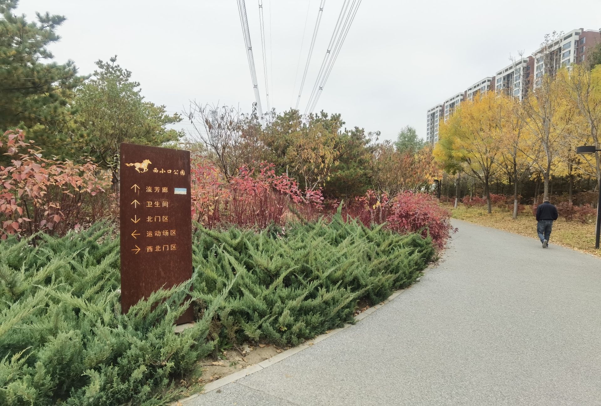 西小口公园旅行图片 1
