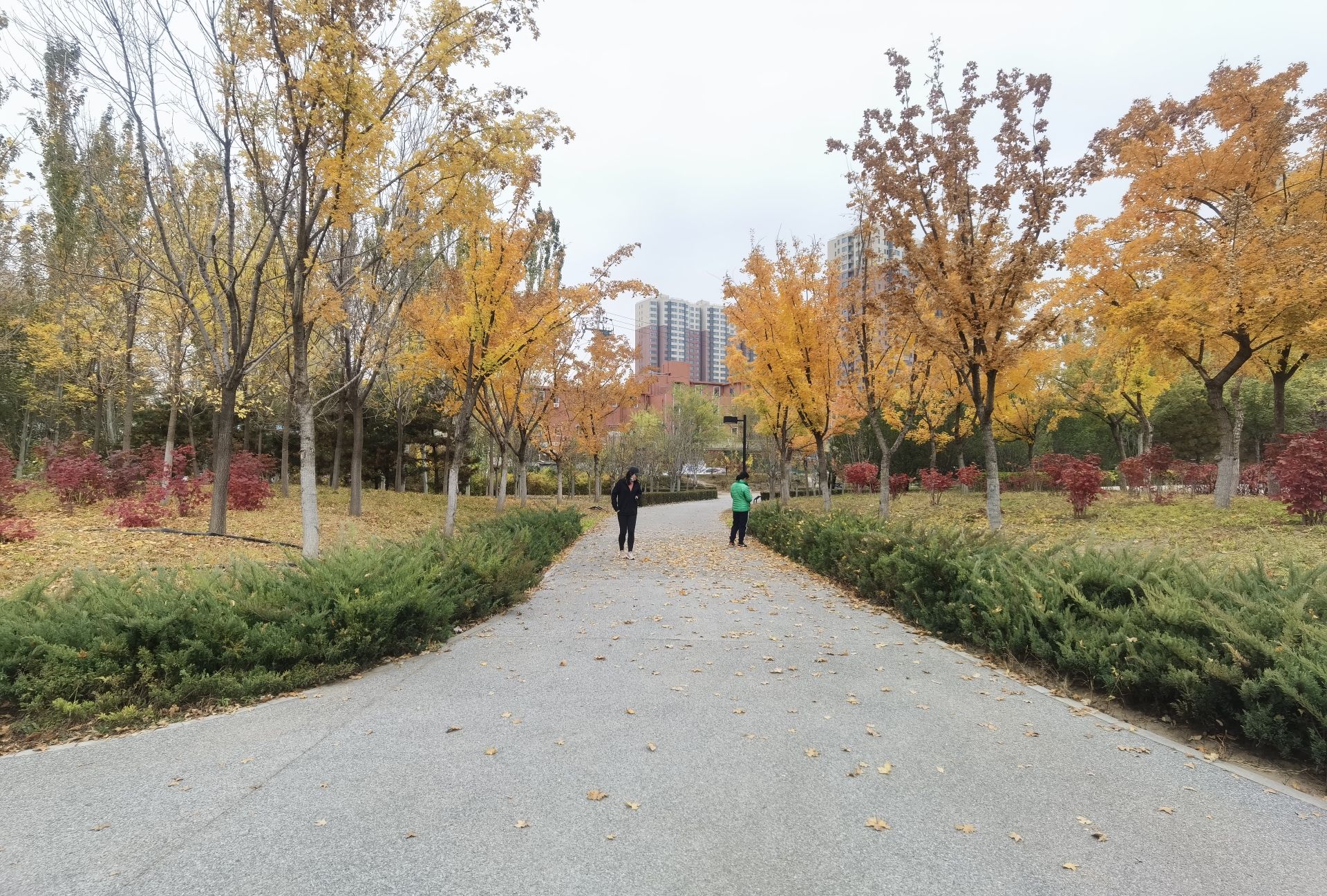 西小口公园旅行图片 2