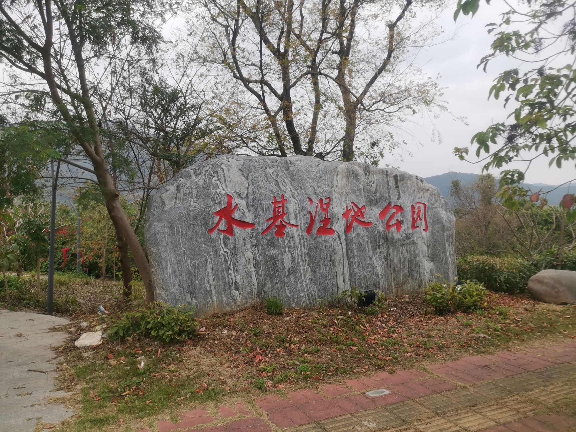 水基湿地公园旅行图片 1