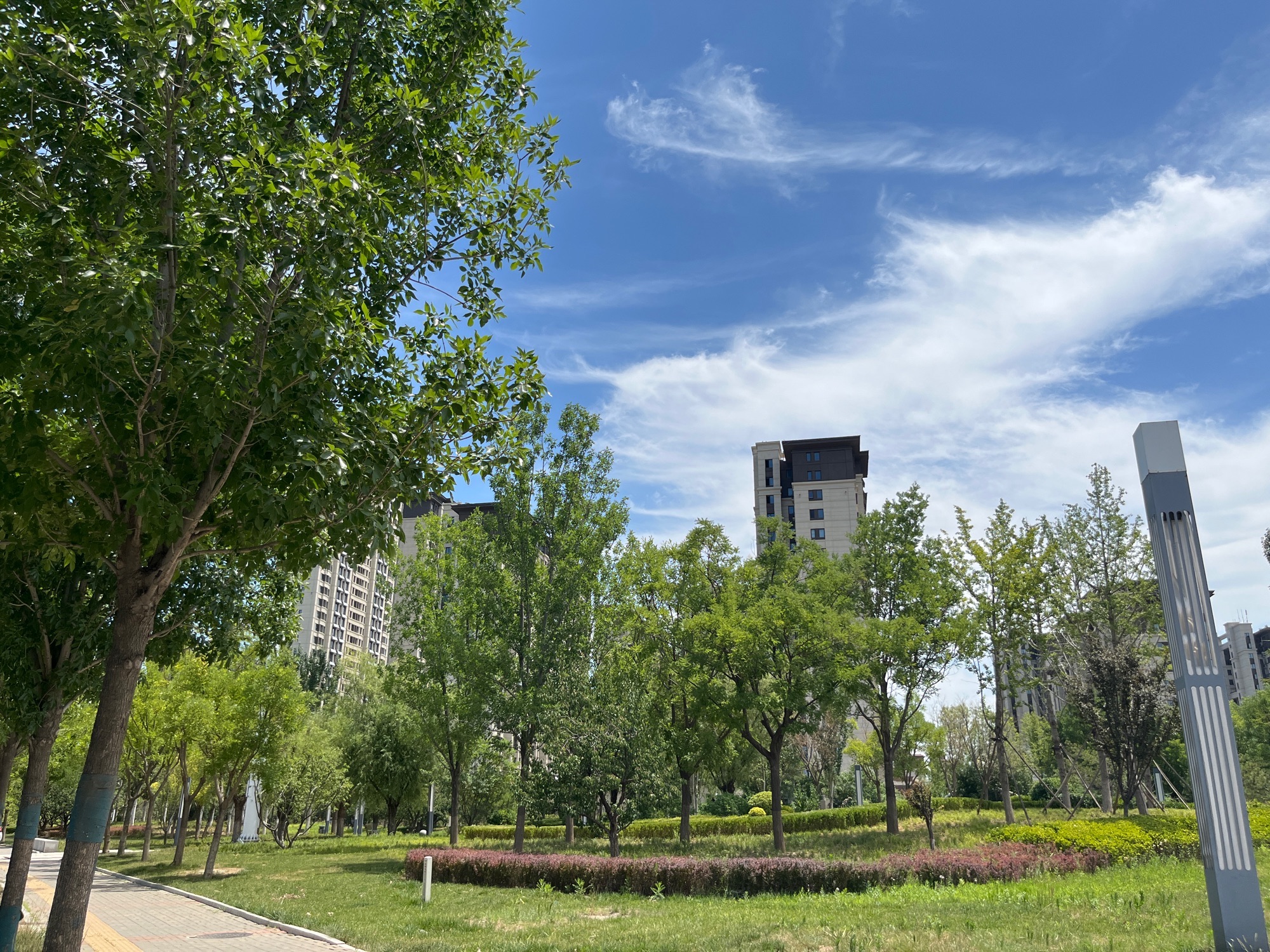梦湖邻里公园旅行图片 1