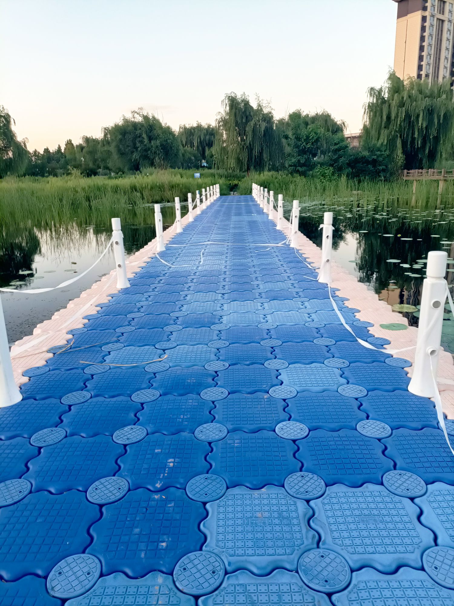 沙河湿地公园旅行图片 2