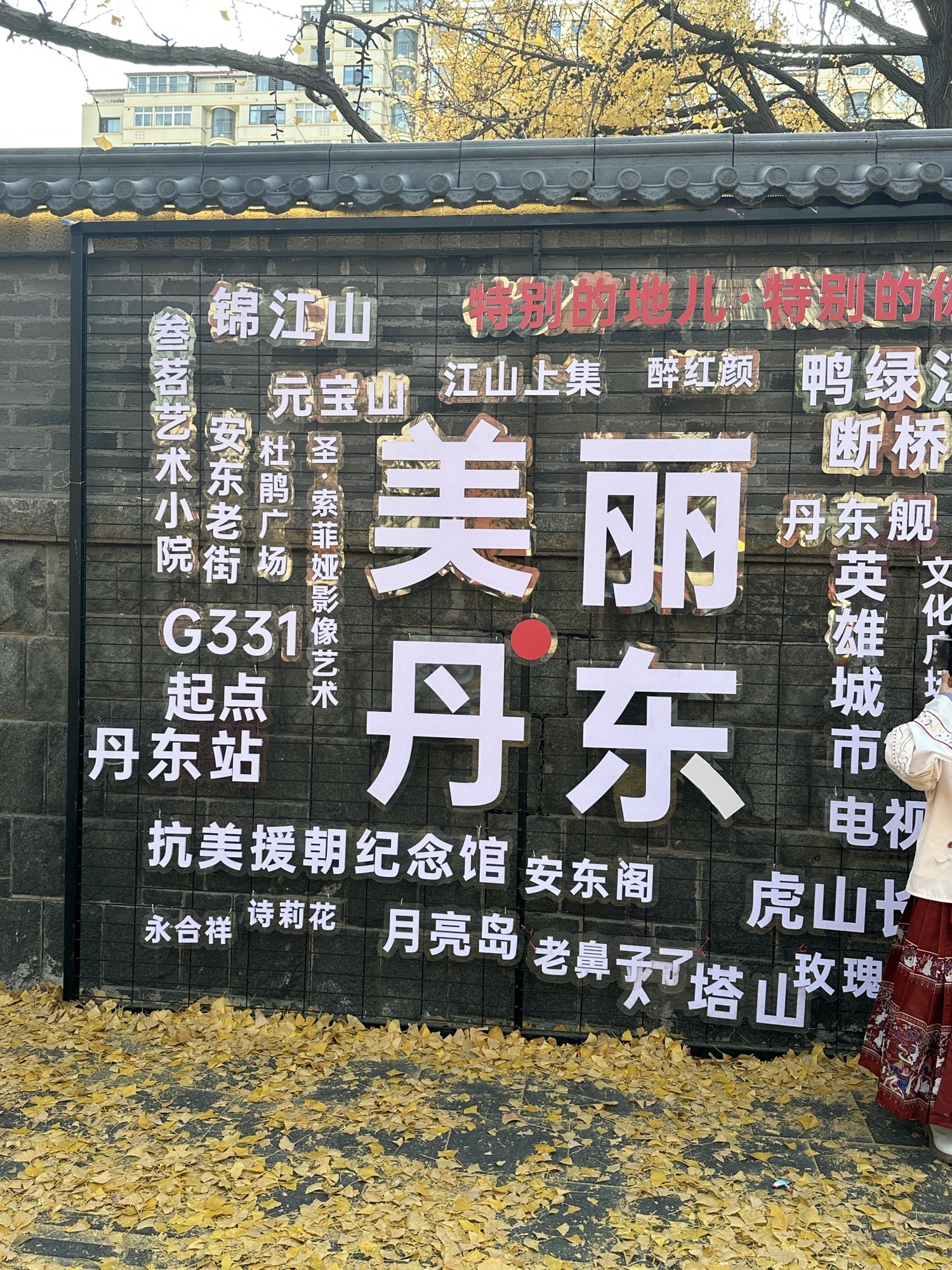 银杏黄金大道旅行图片 1