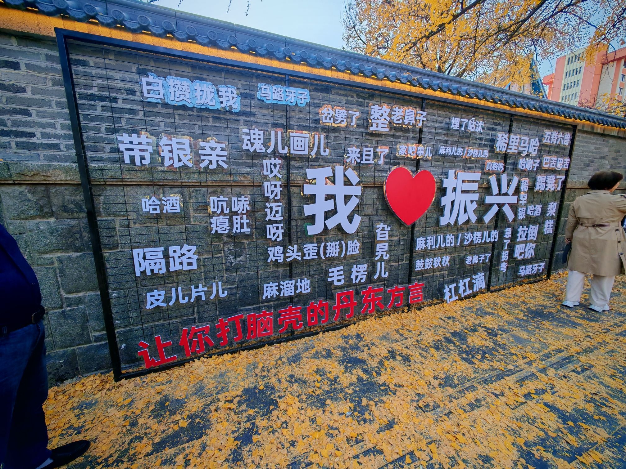 银杏黄金大道旅行图片 1