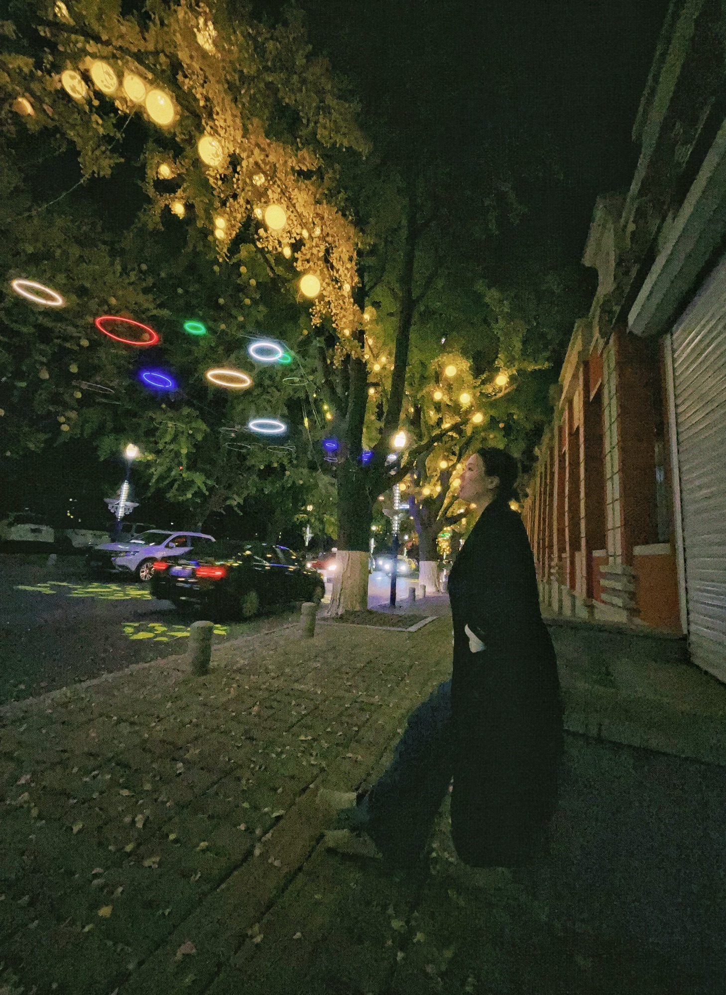 银杏黄金大道旅行图片 3