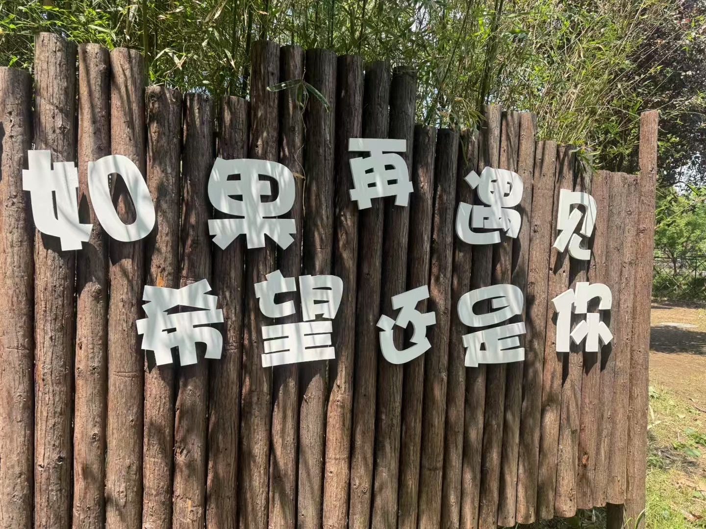 南通洲际梦幻岛旅行图片 2