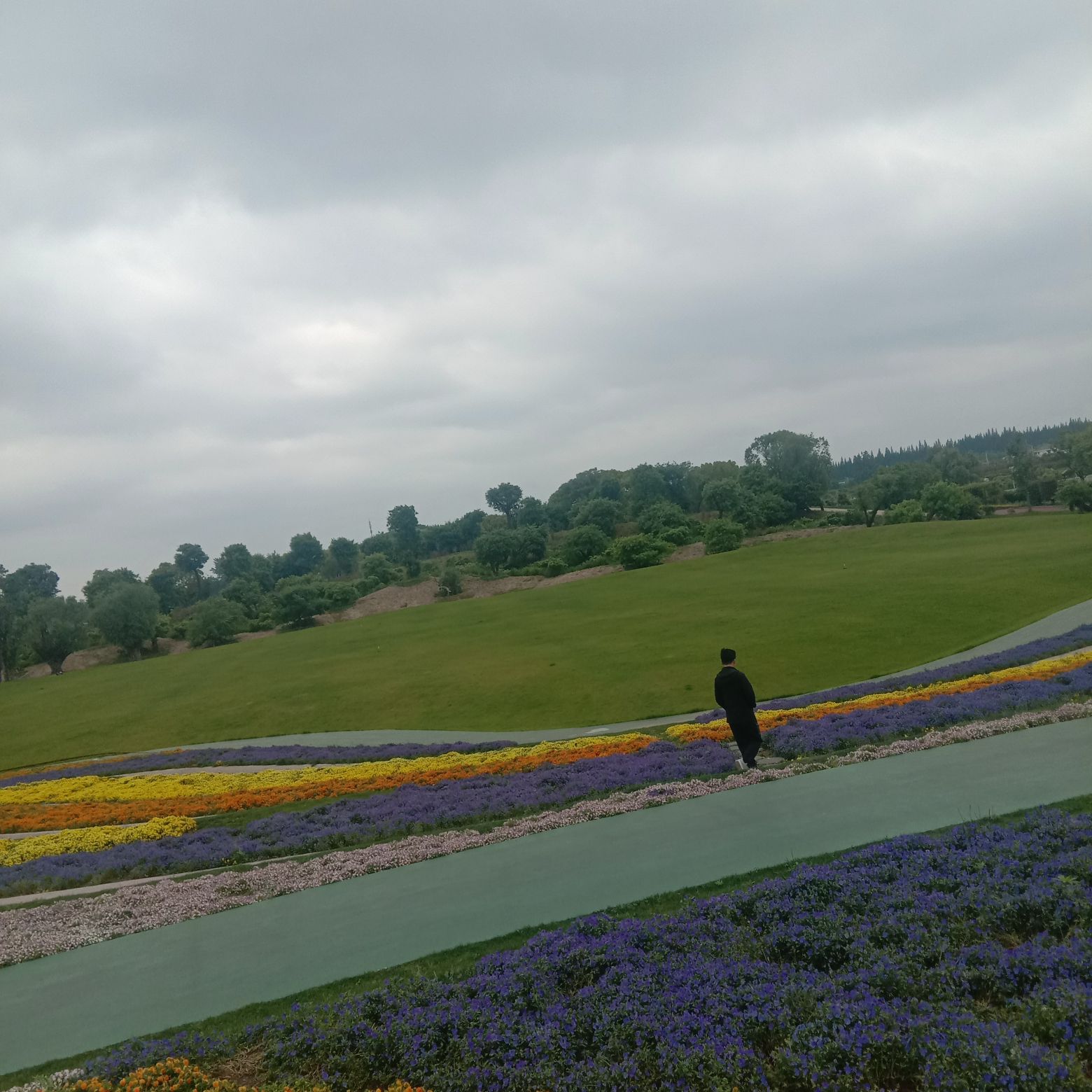南通洲际梦幻岛旅行图片 3