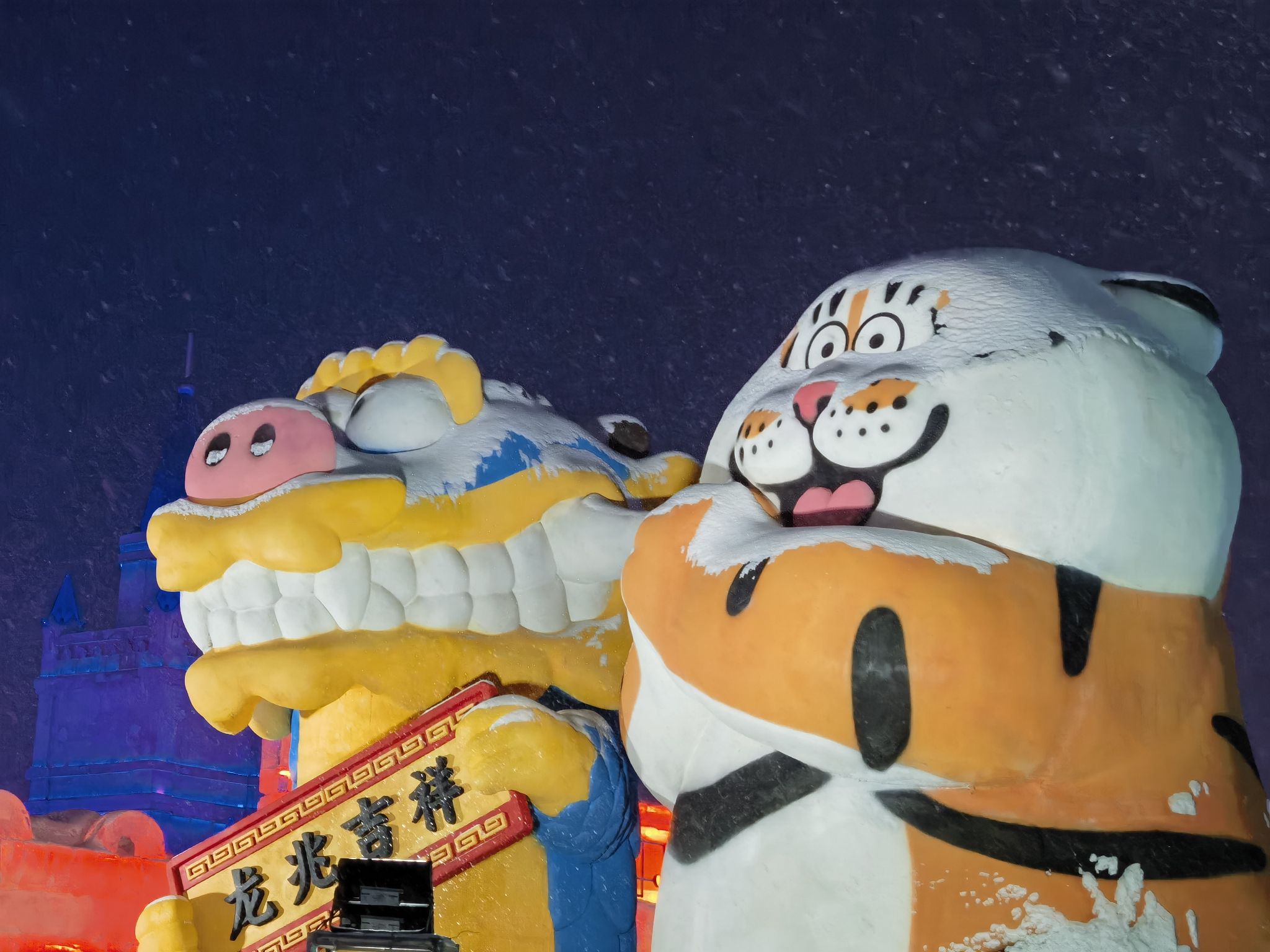 长春冰雪新天地(暂停开放)旅行图片 1