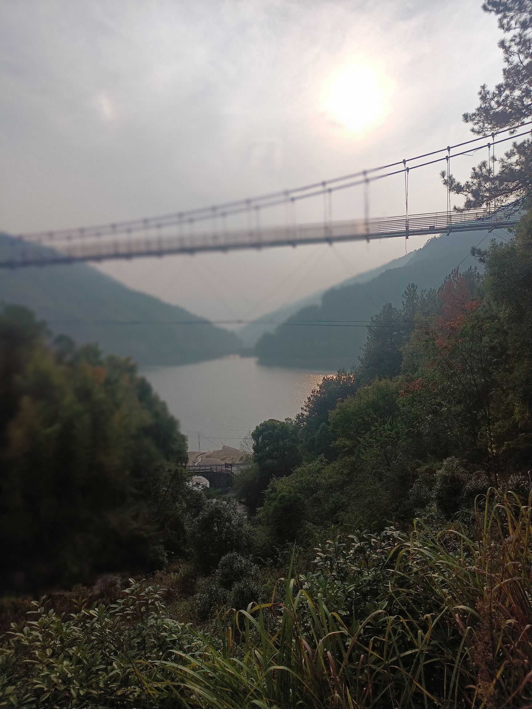 武穴龙门花海玻璃桥旅行图片 2