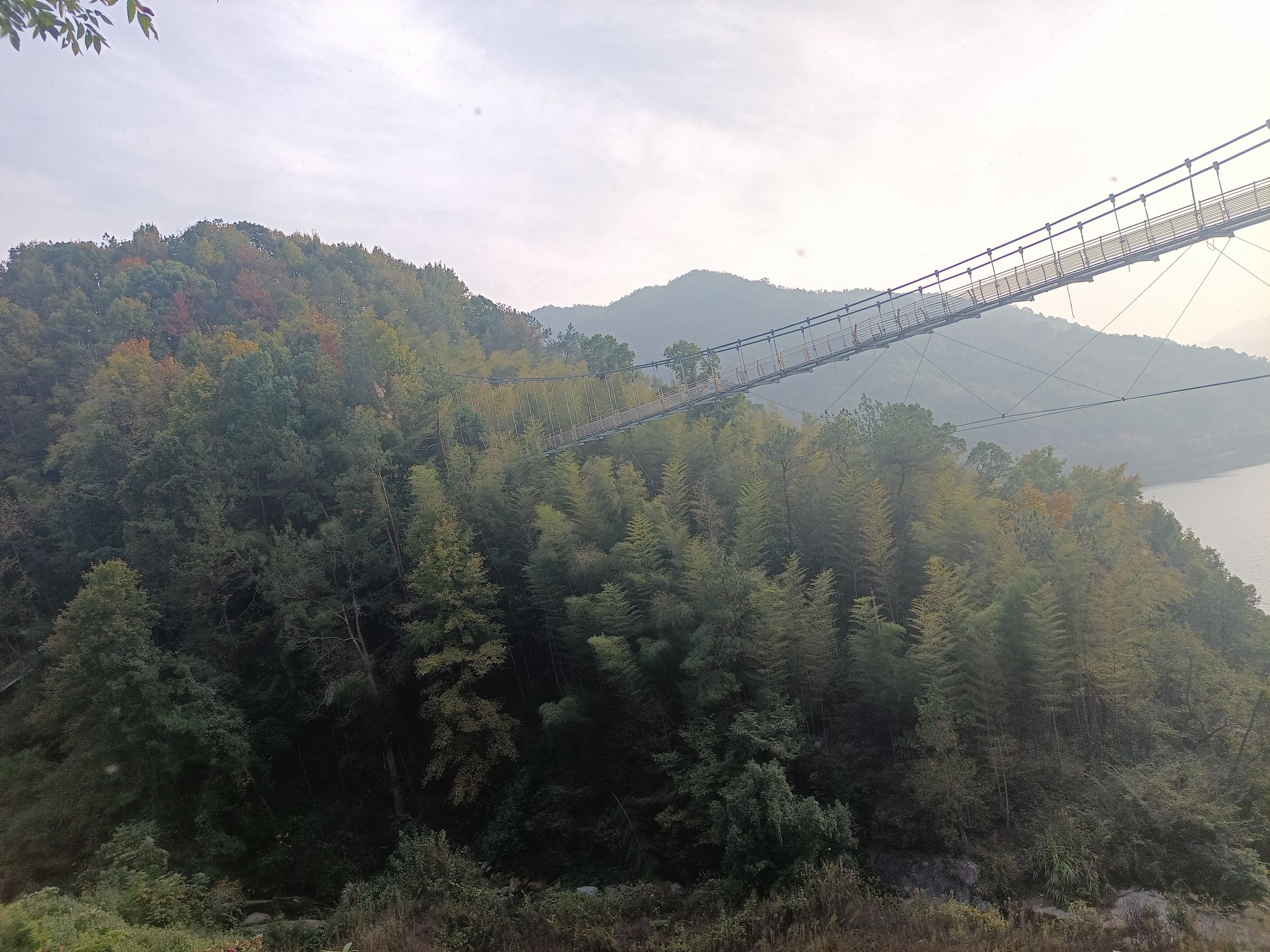 武穴龙门花海玻璃桥旅行图片 3