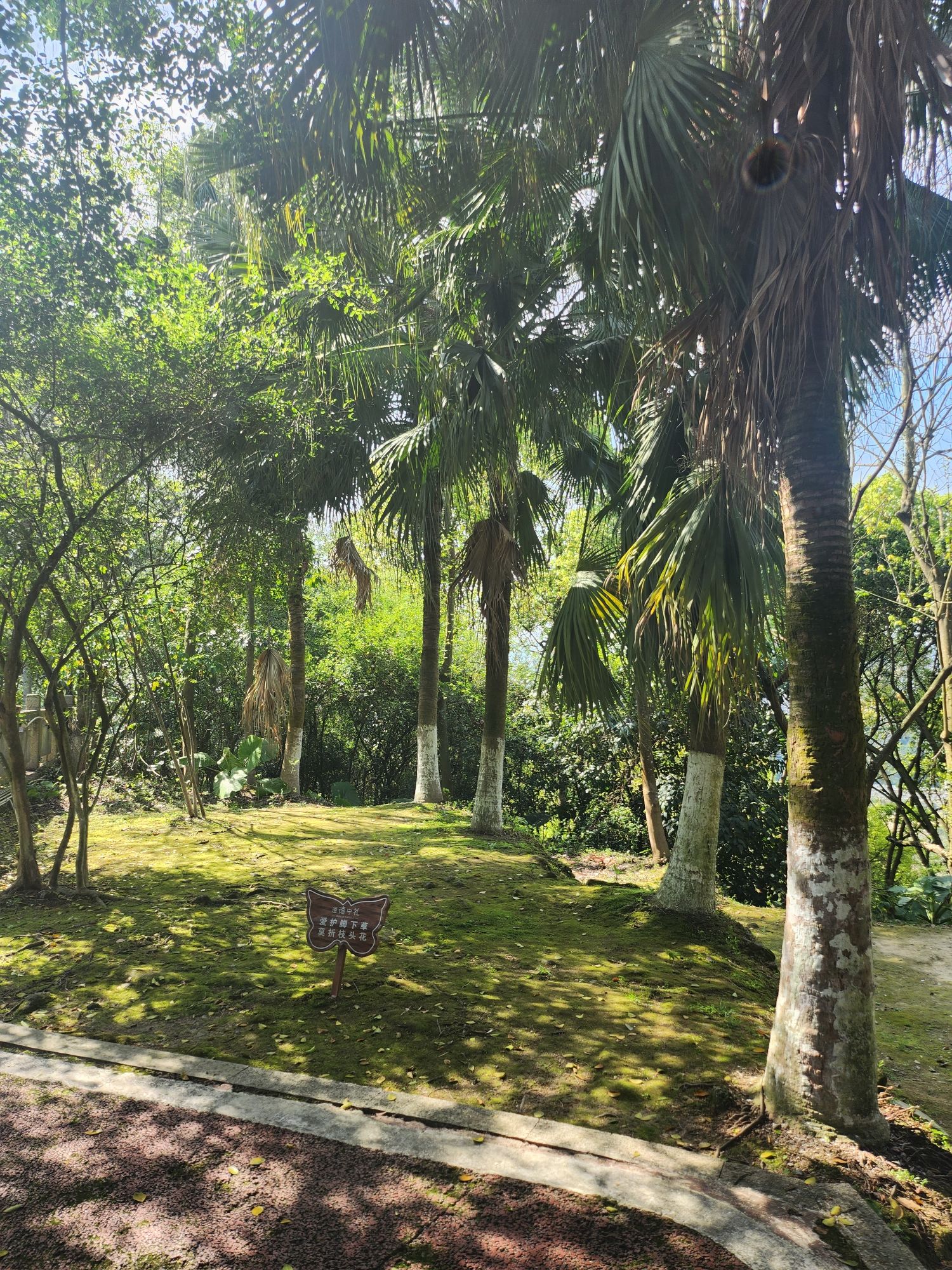 连江县含光塔生态公园旅行图片 2