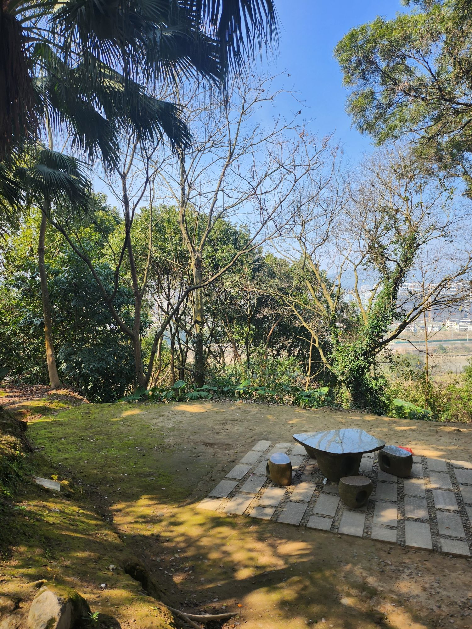 连江县含光塔生态公园旅行图片 2