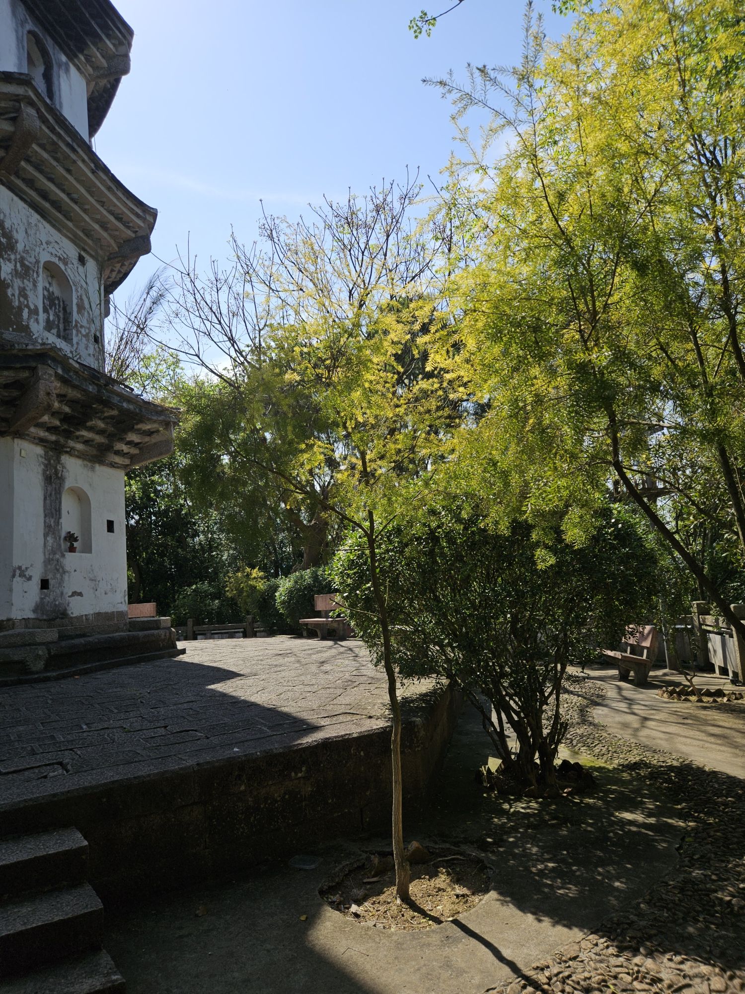 连江县含光塔生态公园旅行图片 2