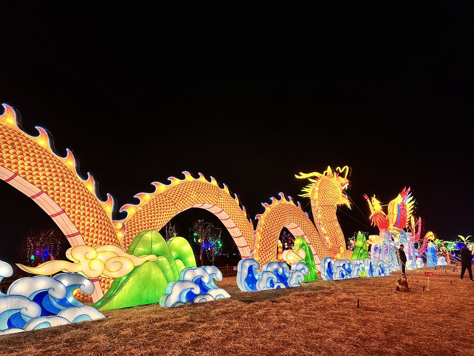 东营白鹭园湿地旅行图片 3