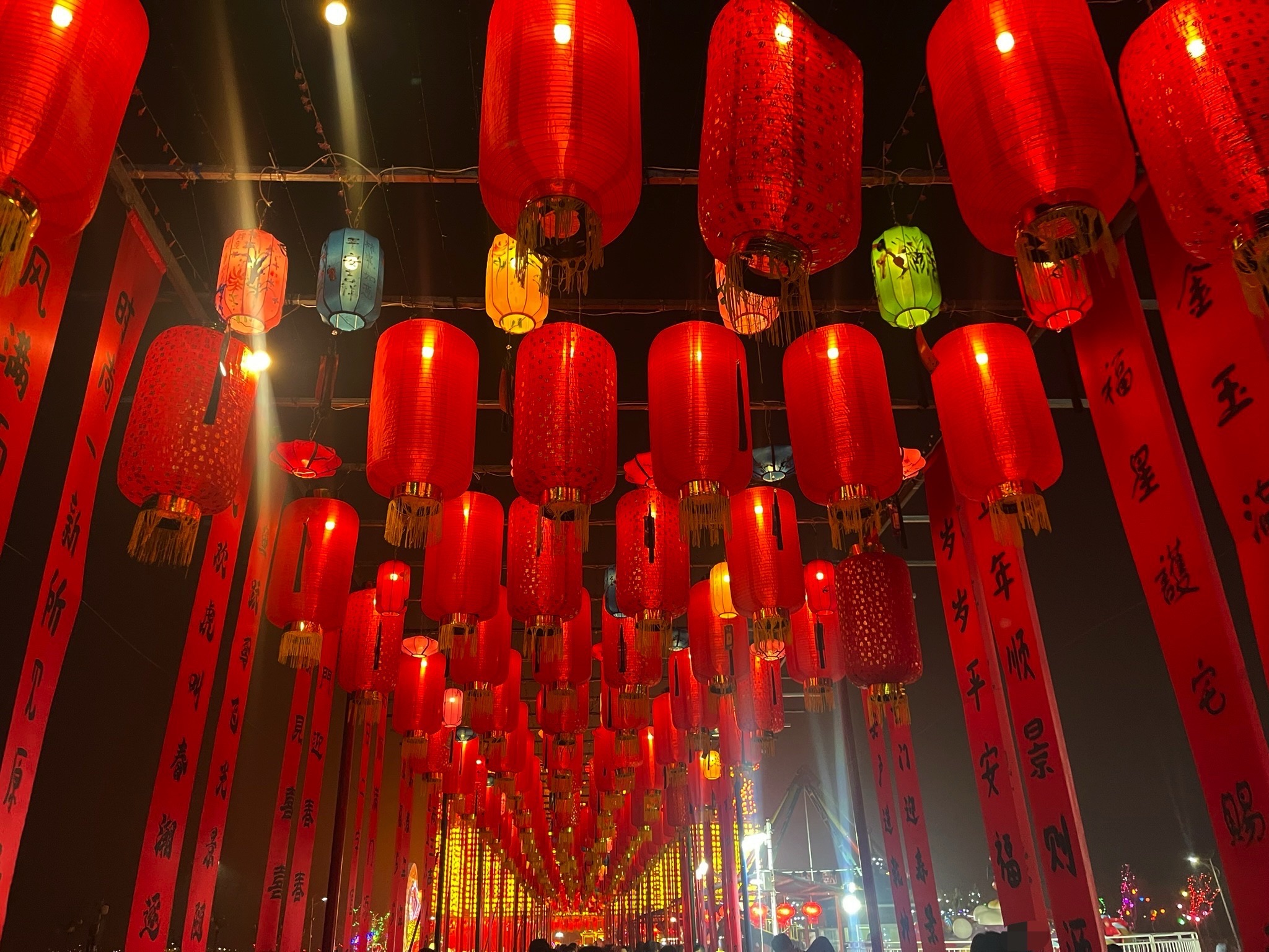 东营白鹭园湿地旅行图片 2