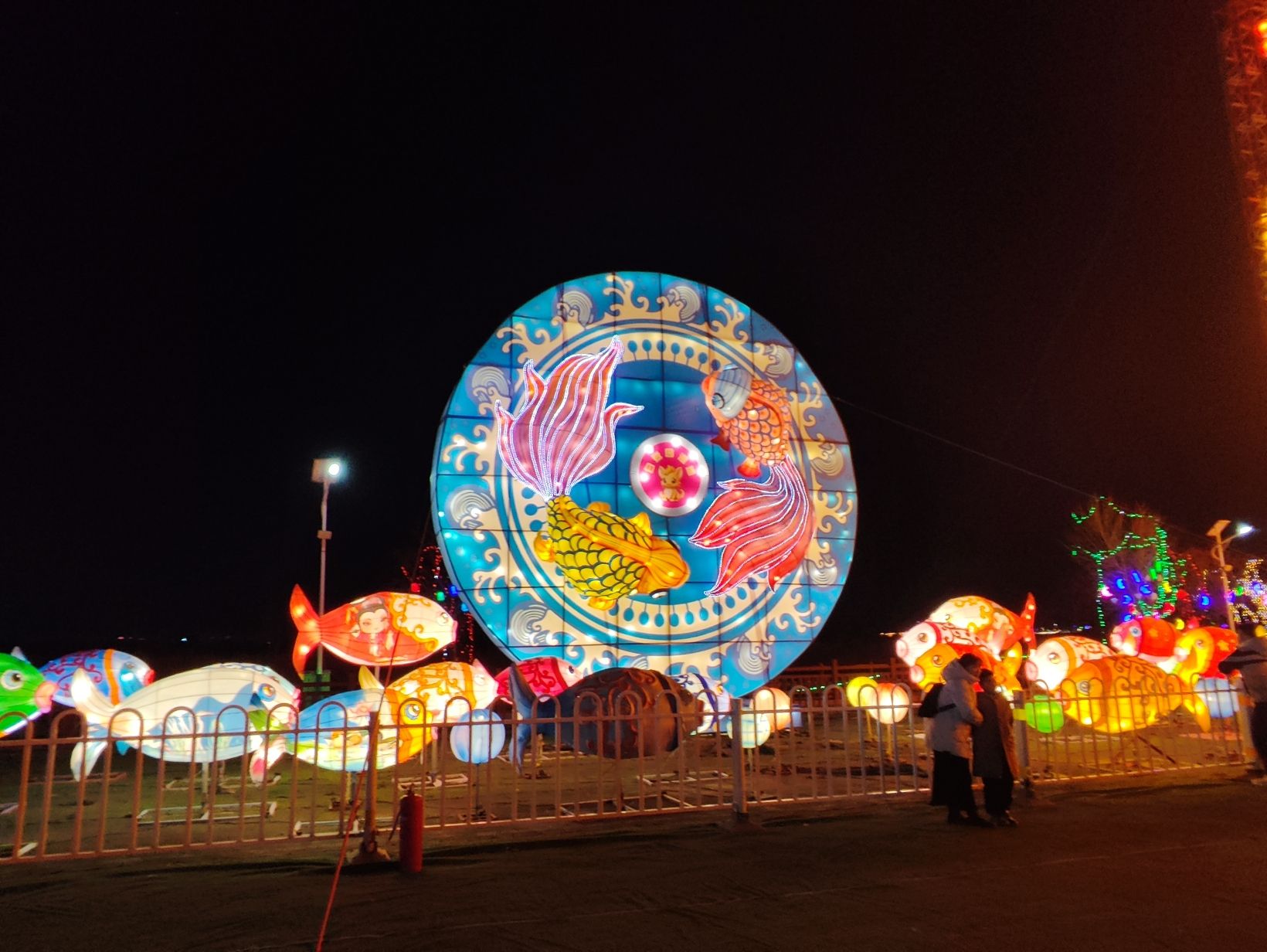 东营白鹭园湿地旅行图片 3