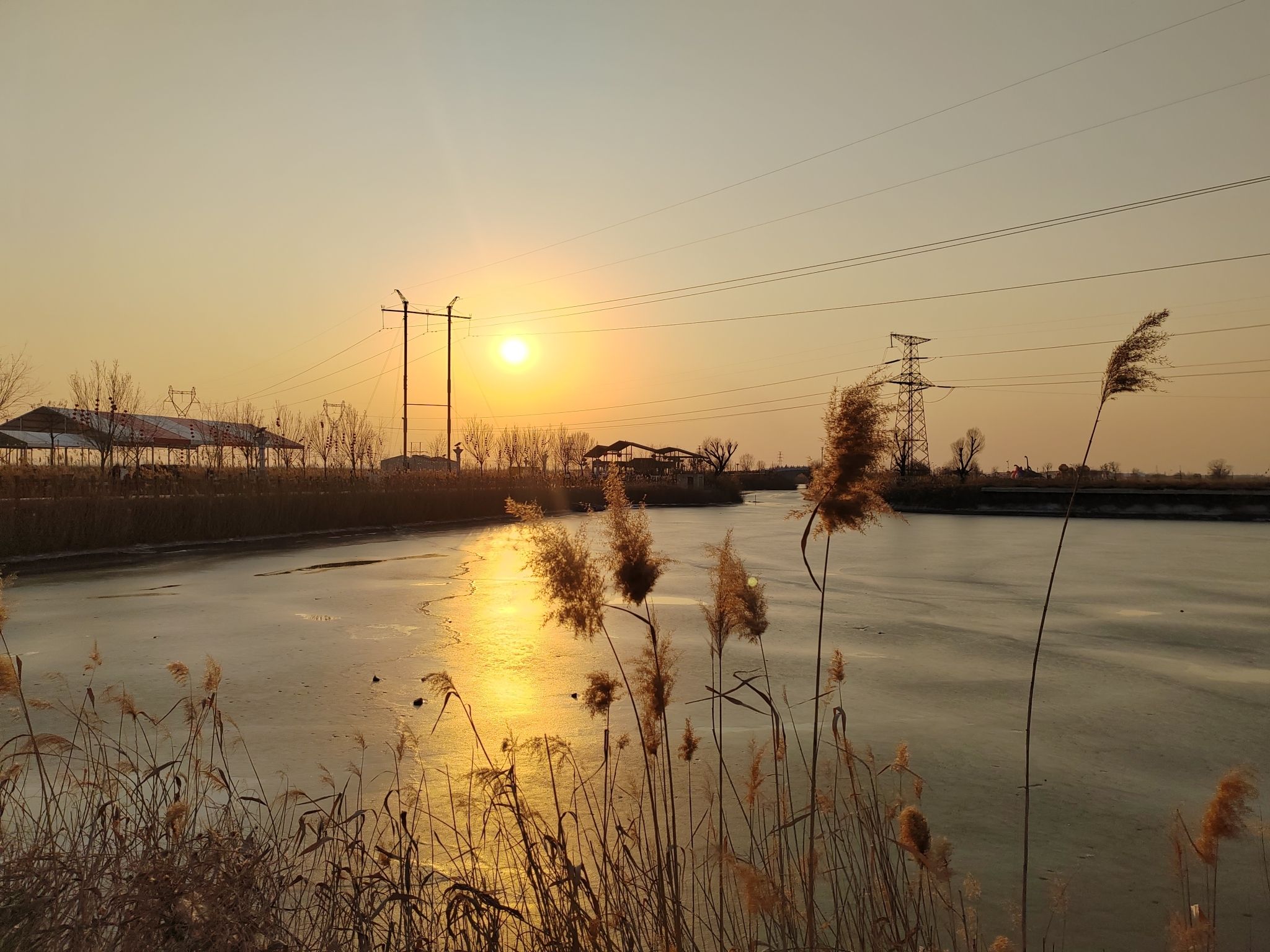 东营白鹭园湿地