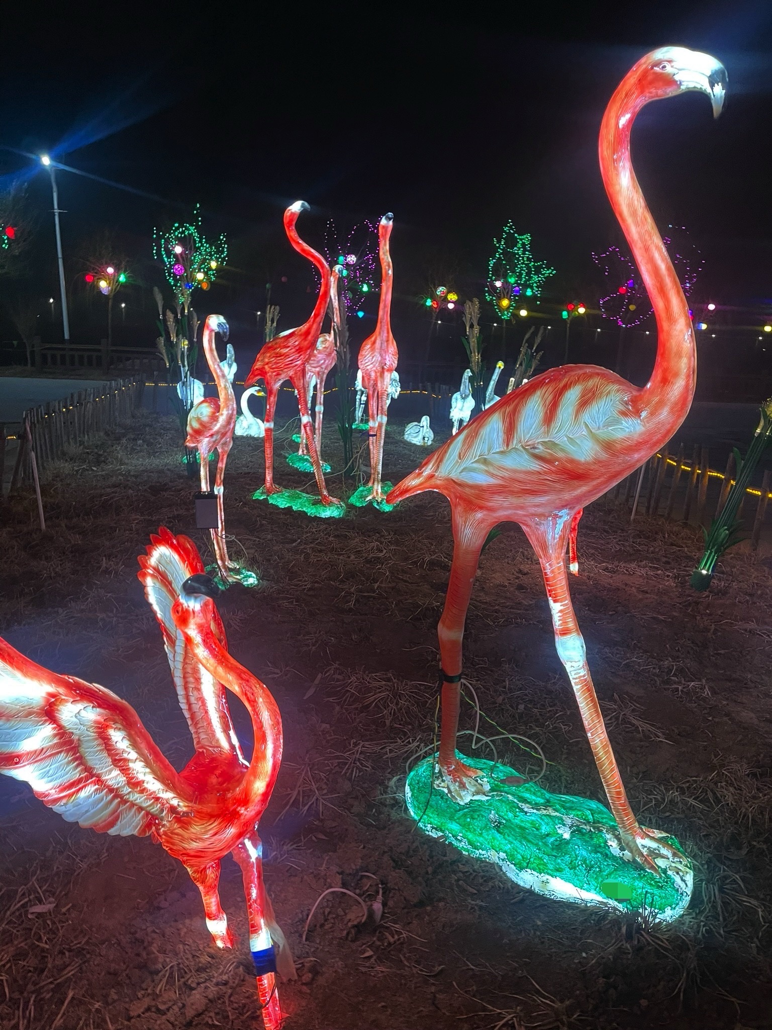 东营白鹭园湿地旅行图片 1