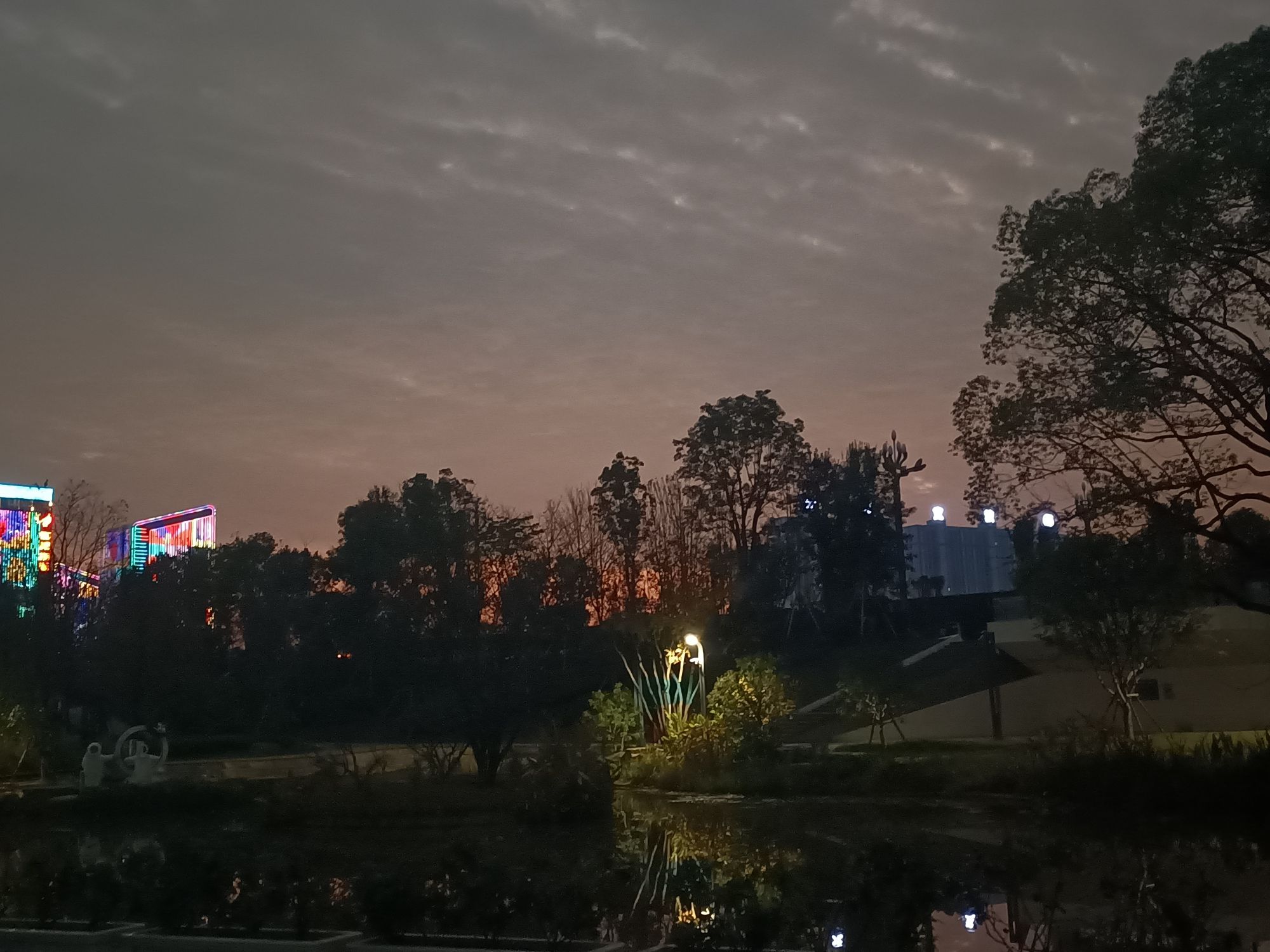 陆家新区中心公园旅行图片 2