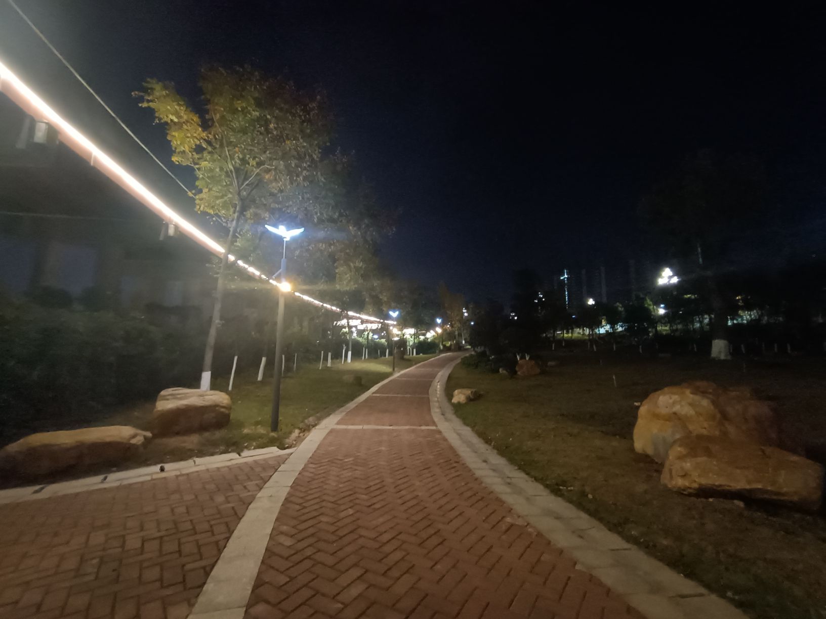 陆家新区中心公园旅行图片 1