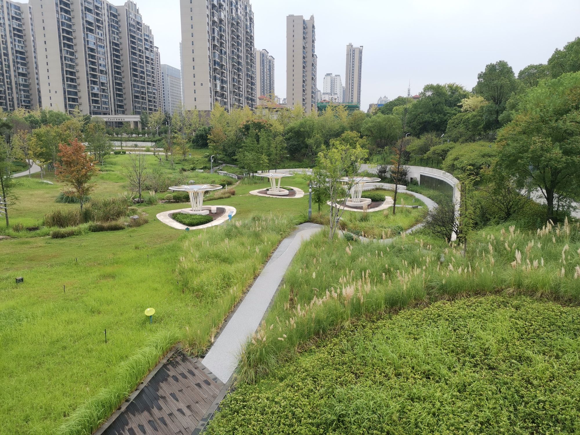 陆家新区中心公园