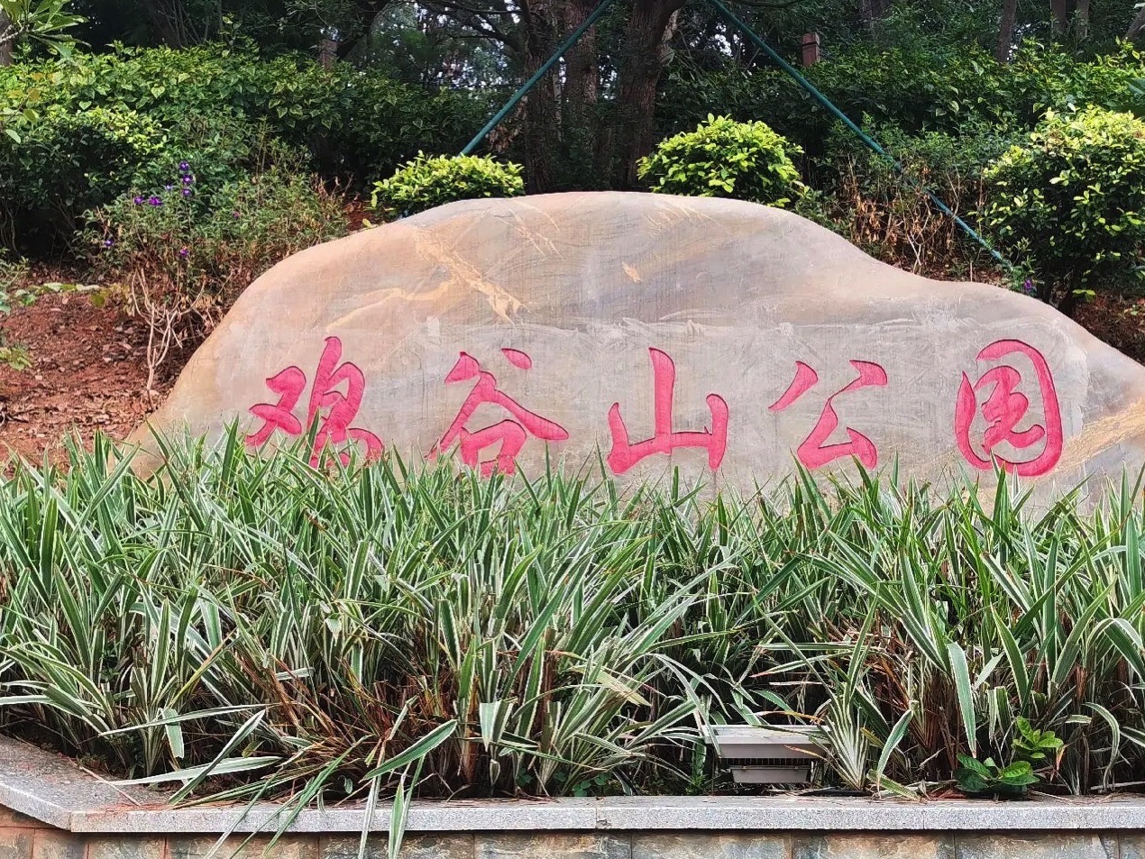 藤县鸡谷山公园旅行图片 3