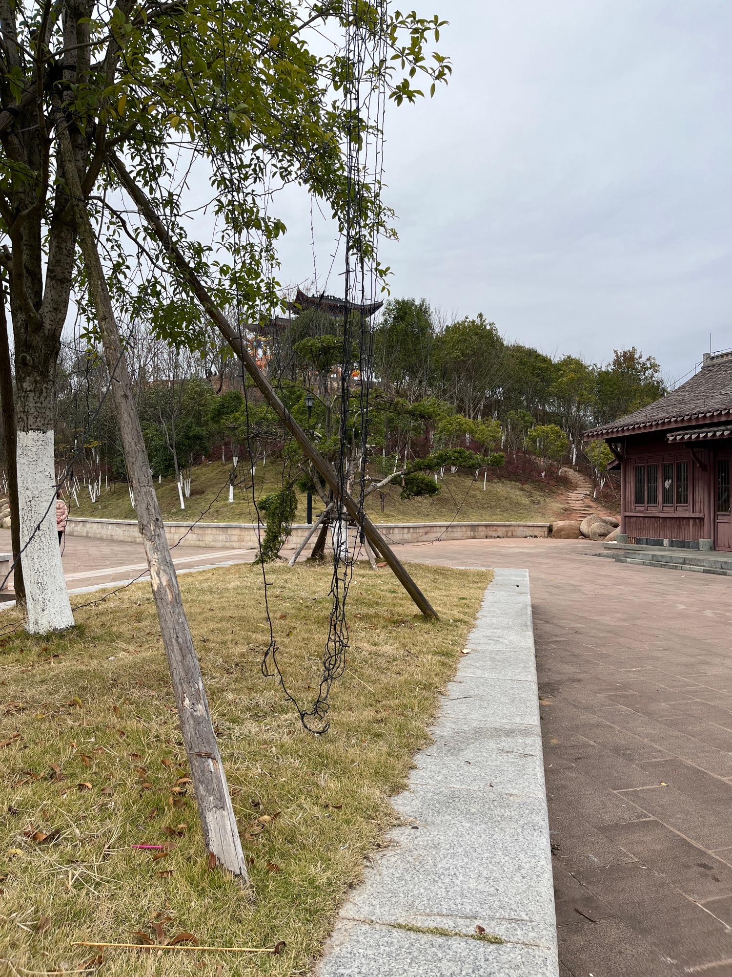蟠龙山体公园旅行图片 2
