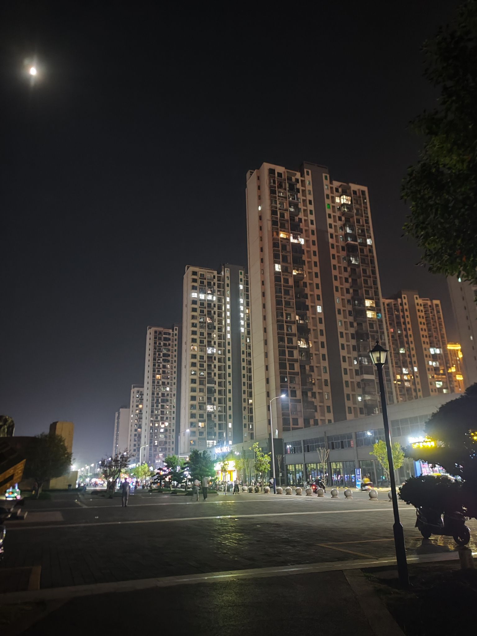 蟠龙山体公园旅行图片 2