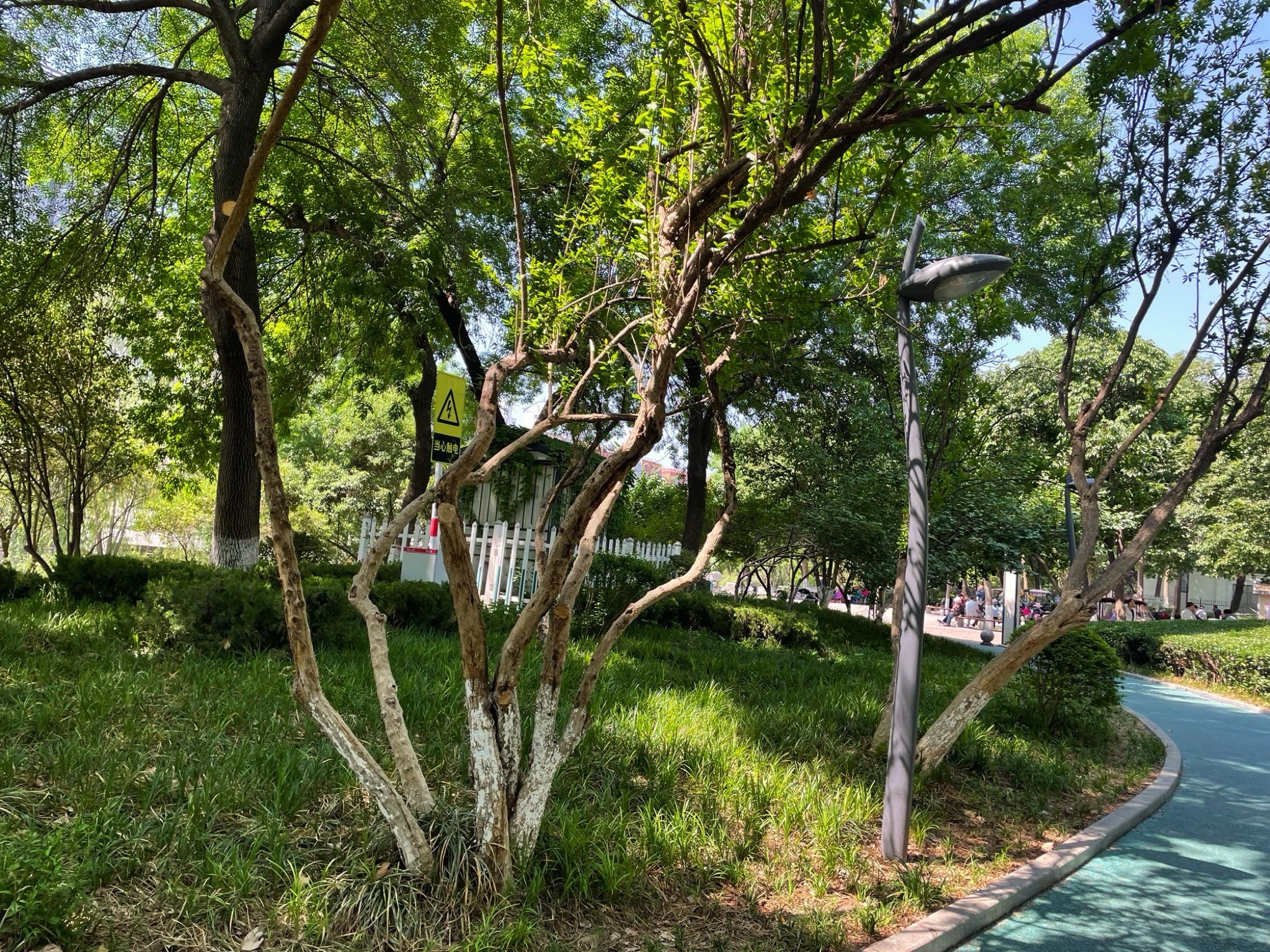 快活林公园旅行图片 1