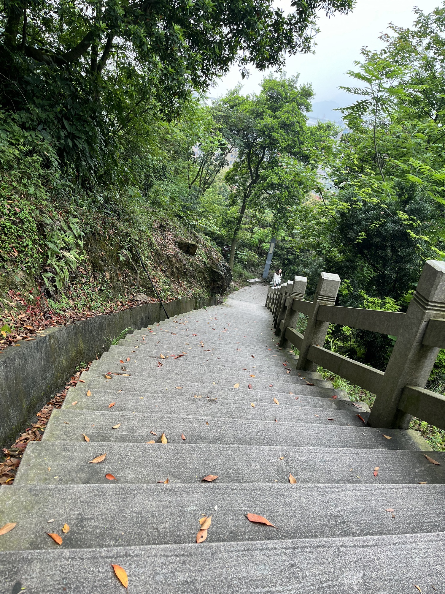狮子山森林公园旅行图片 2