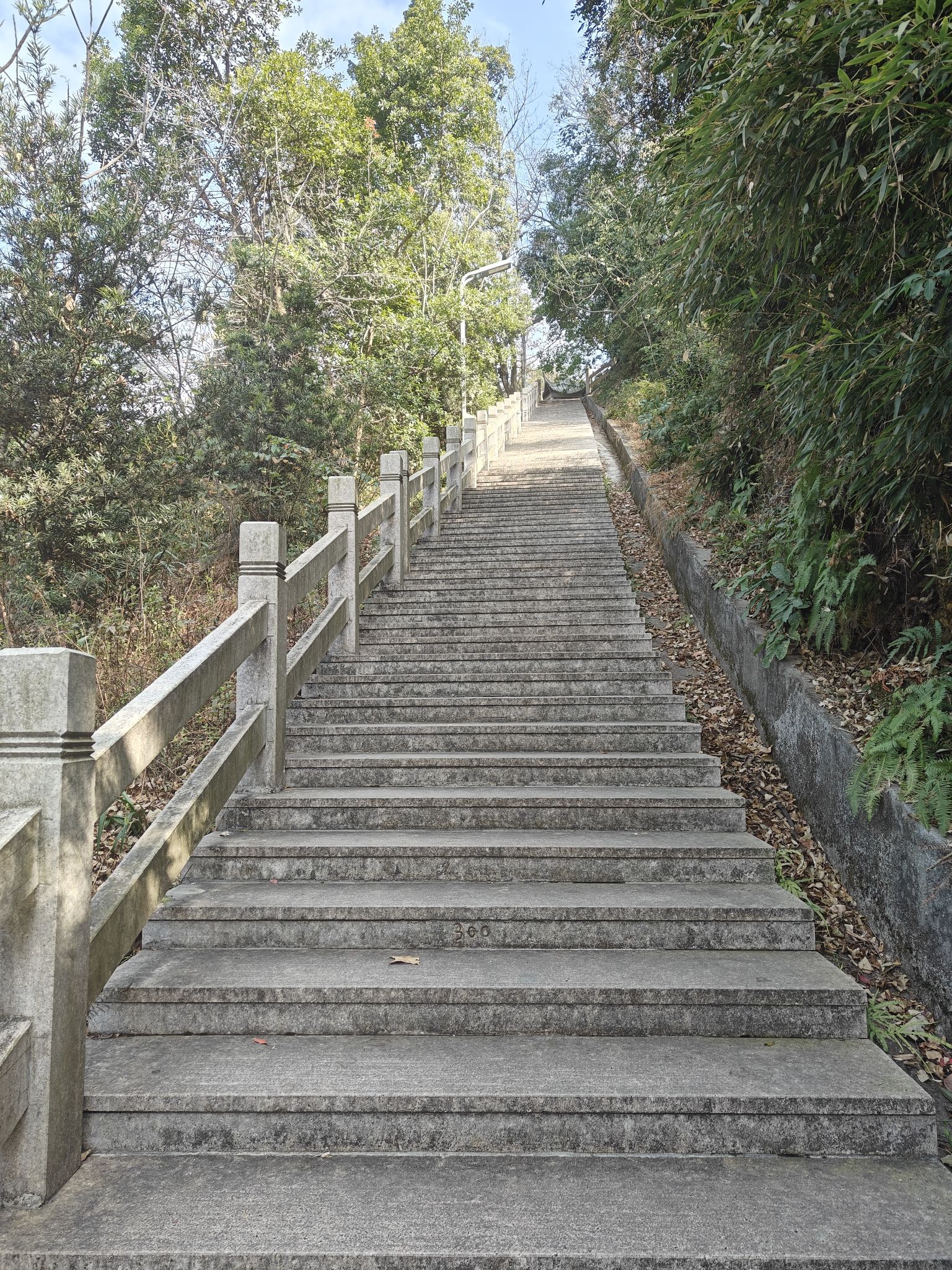 狮子山森林公园旅行图片 2