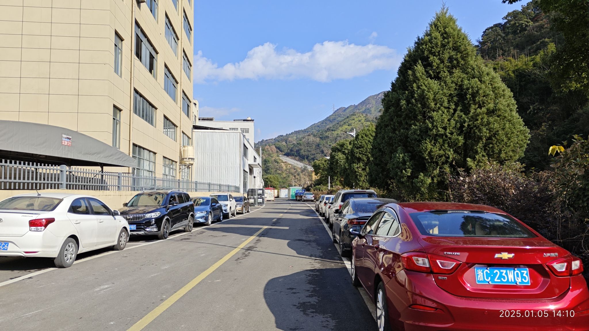 狮子山森林公园旅行图片 2
