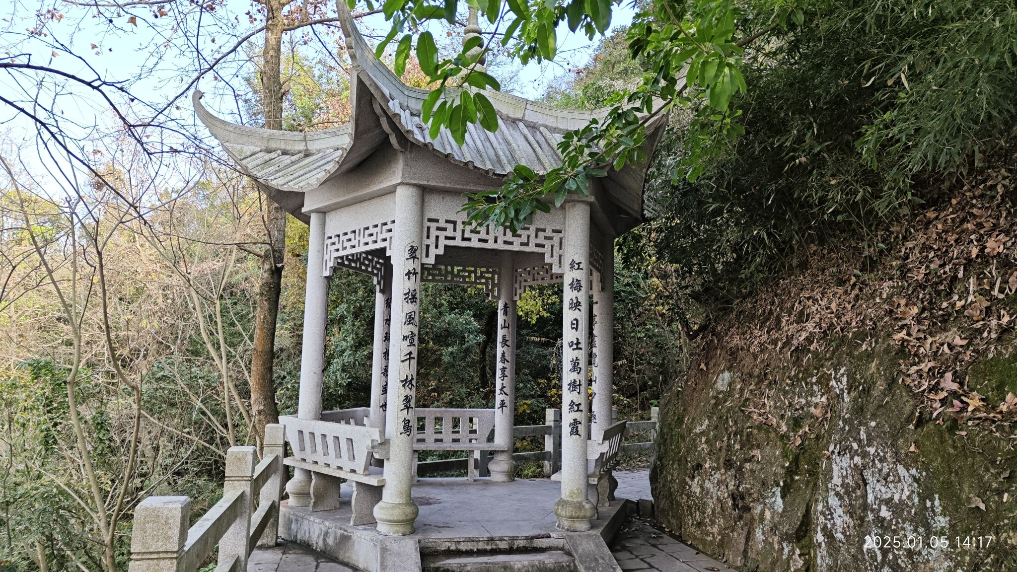 狮子山森林公园旅行图片 3