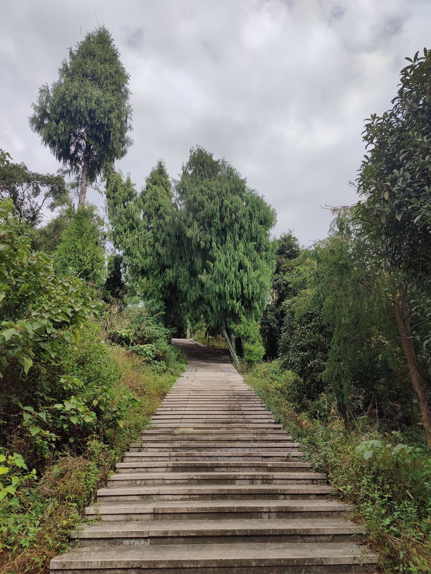 狮子山森林公园旅行图片 2