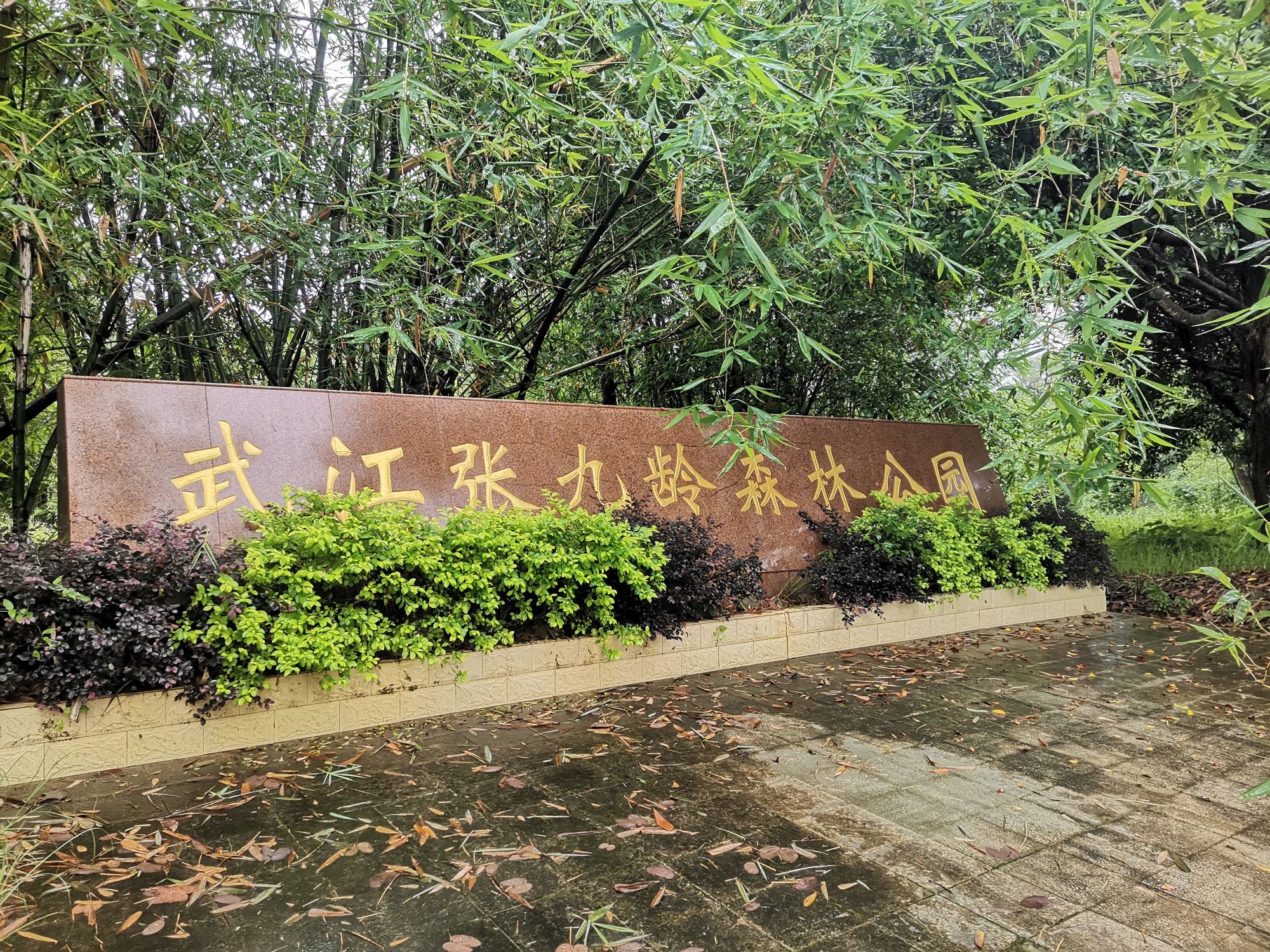 九龄园旅行图片 1