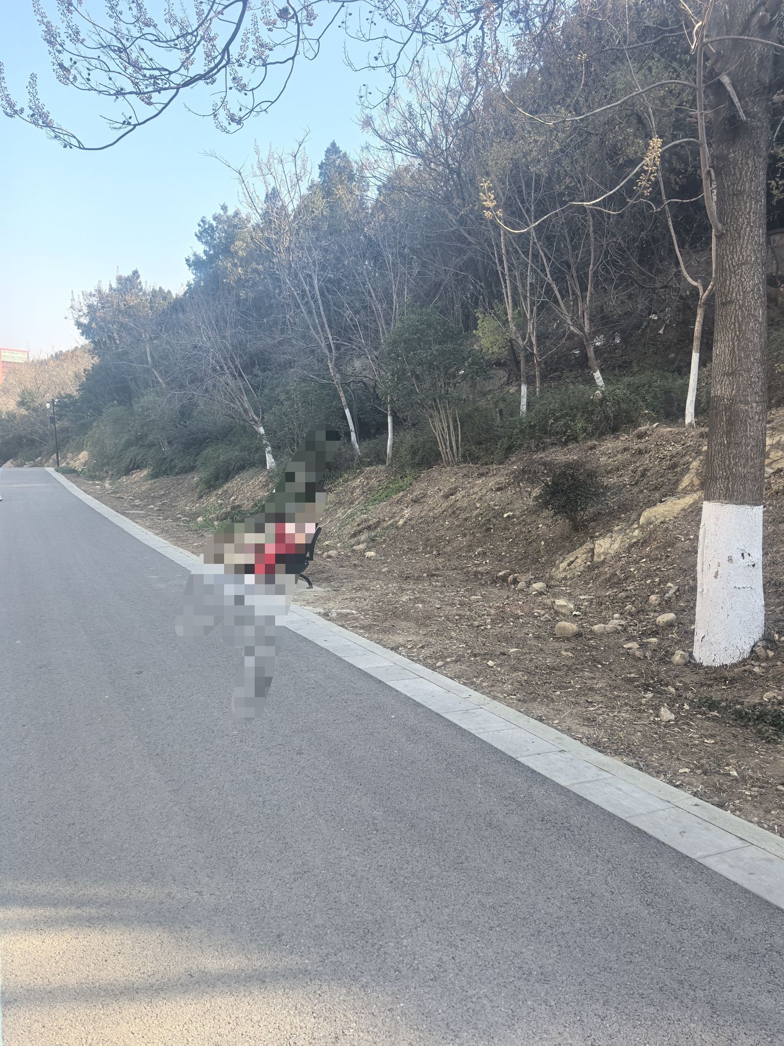 卧牛山公园旅行图片 2