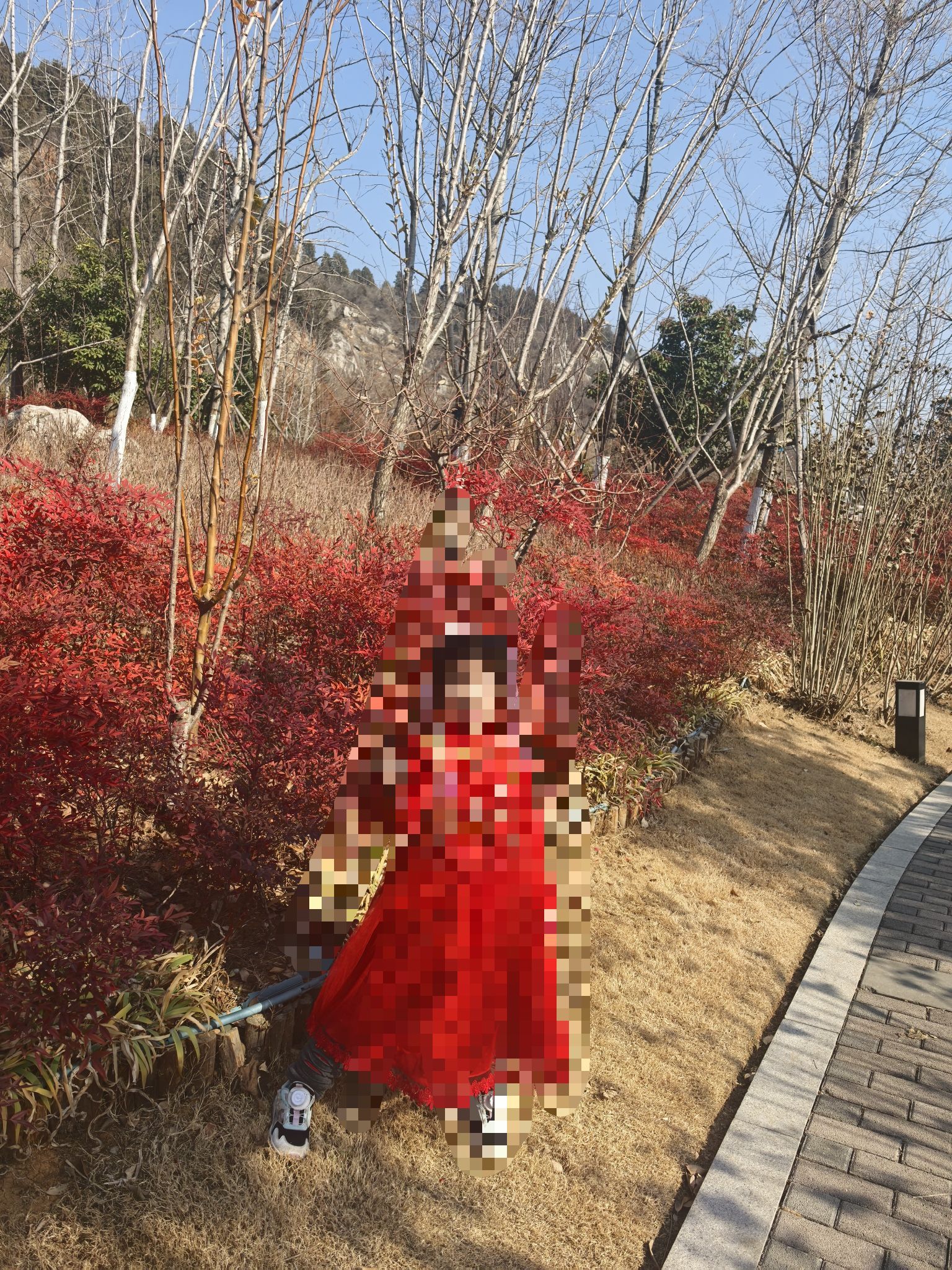 卧牛山公园旅行图片 3