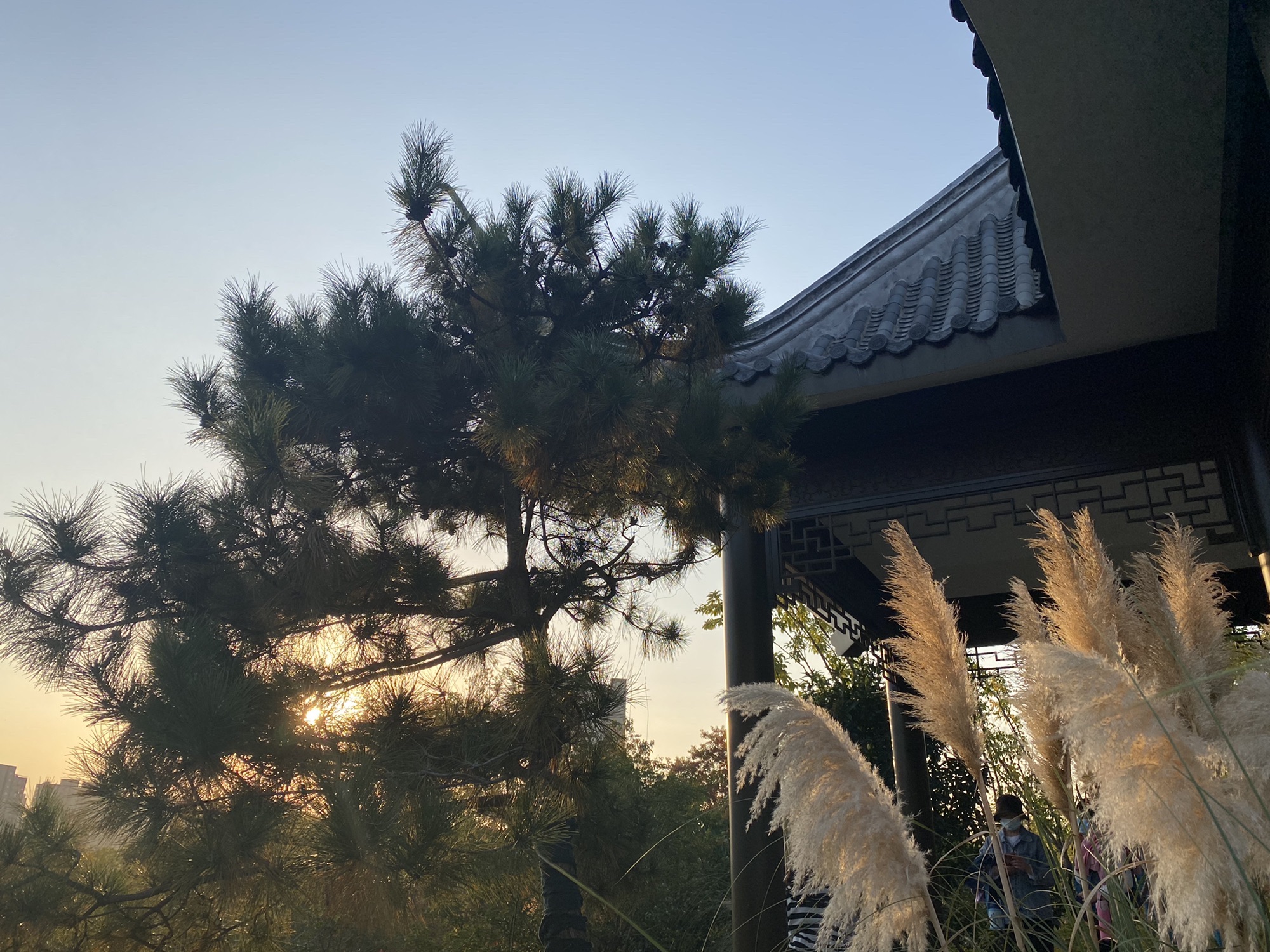 卧牛山公园旅行图片 1