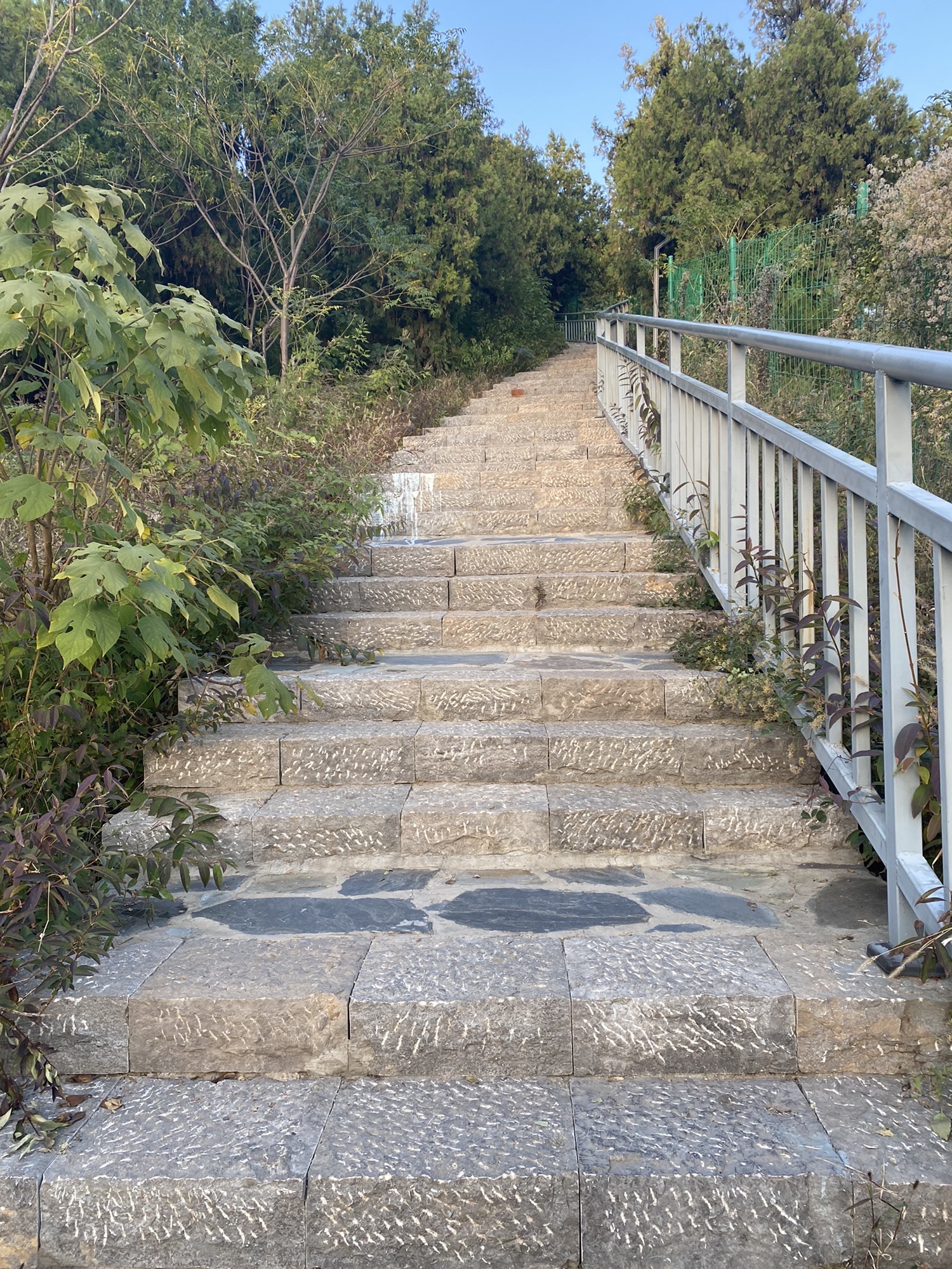 卧牛山公园旅行图片 3