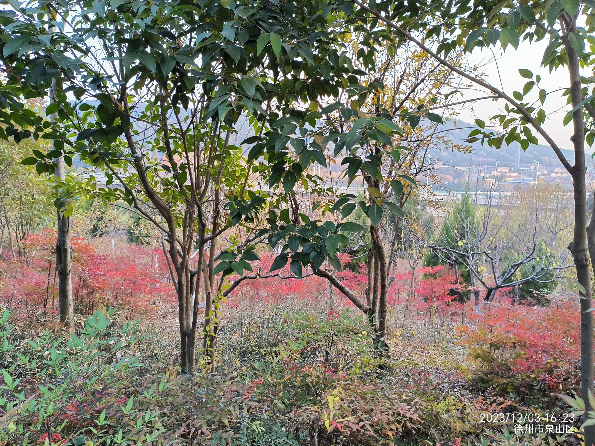 卧牛山公园旅行图片 1