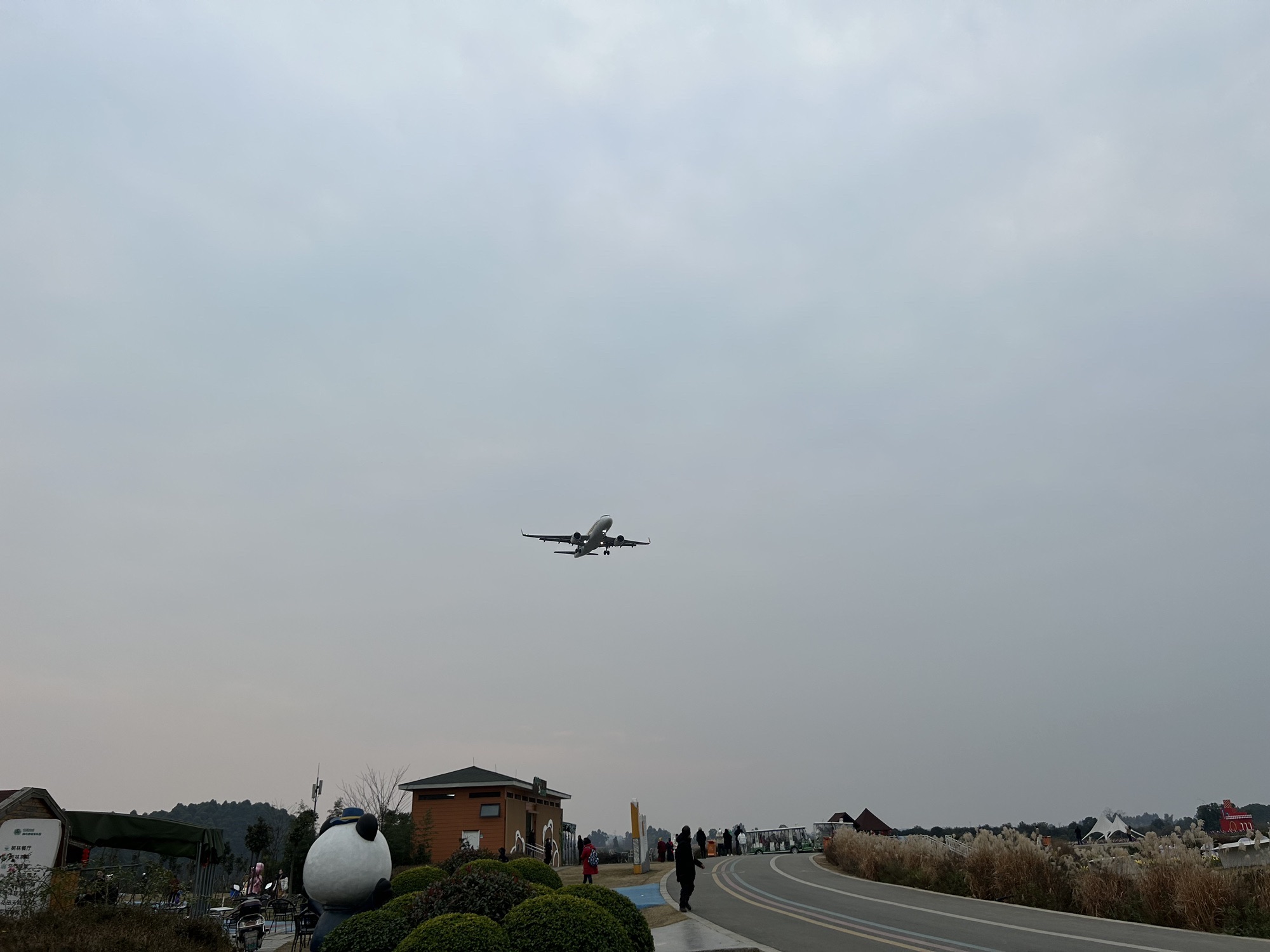 飞机起落观景台旅行图片 3