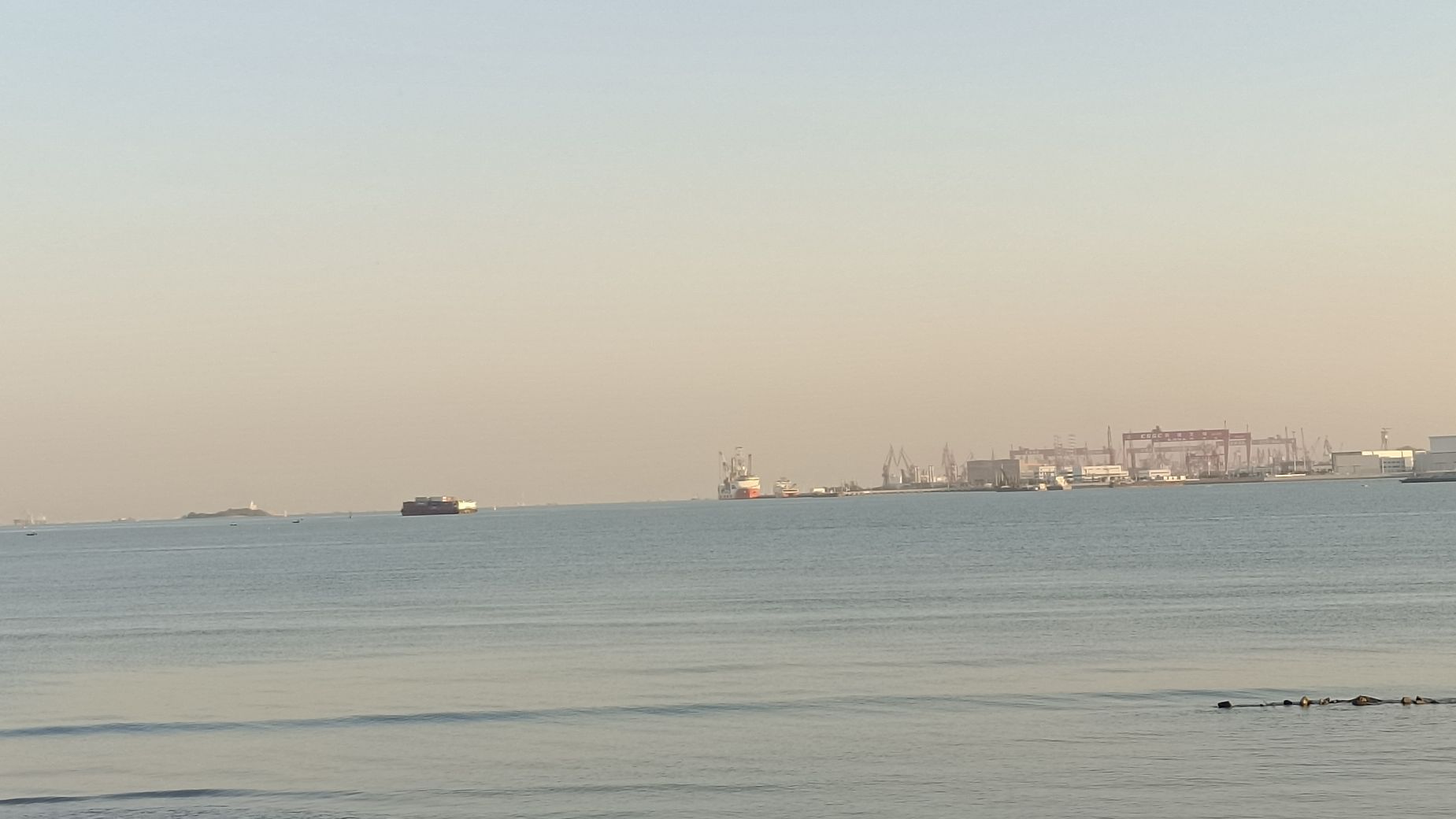 南沙滨海绿道湿地公园旅行图片 2