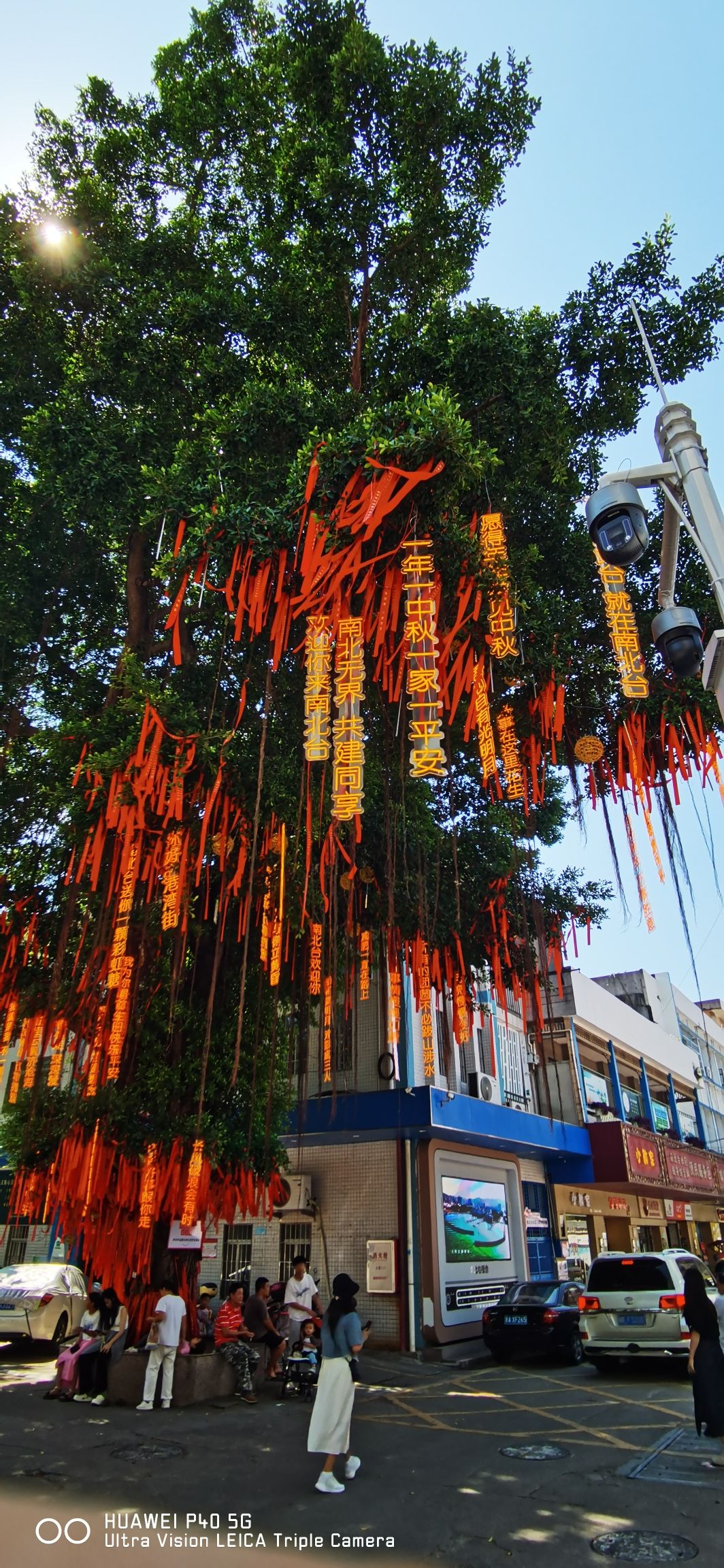 南沙滨海绿道湿地公园旅行图片 3