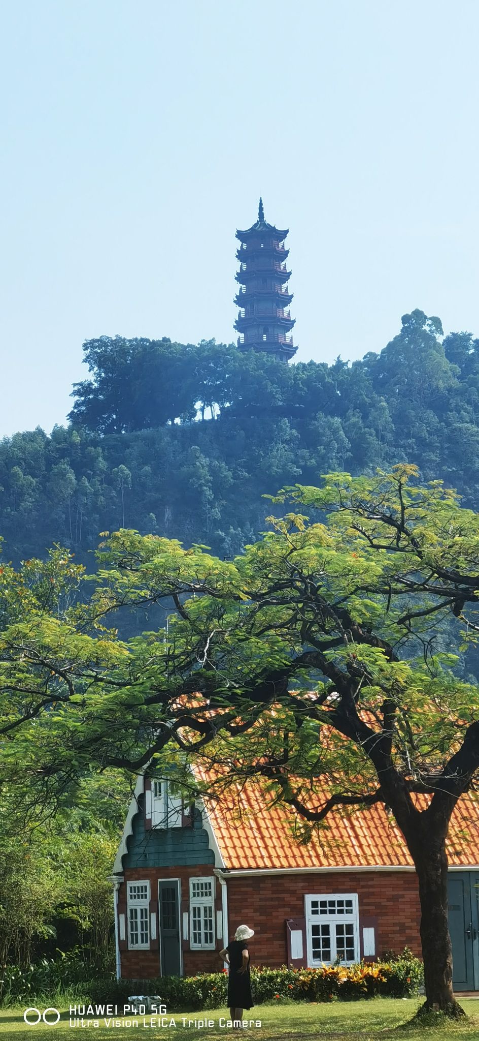 南沙滨海绿道湿地公园旅行图片 1