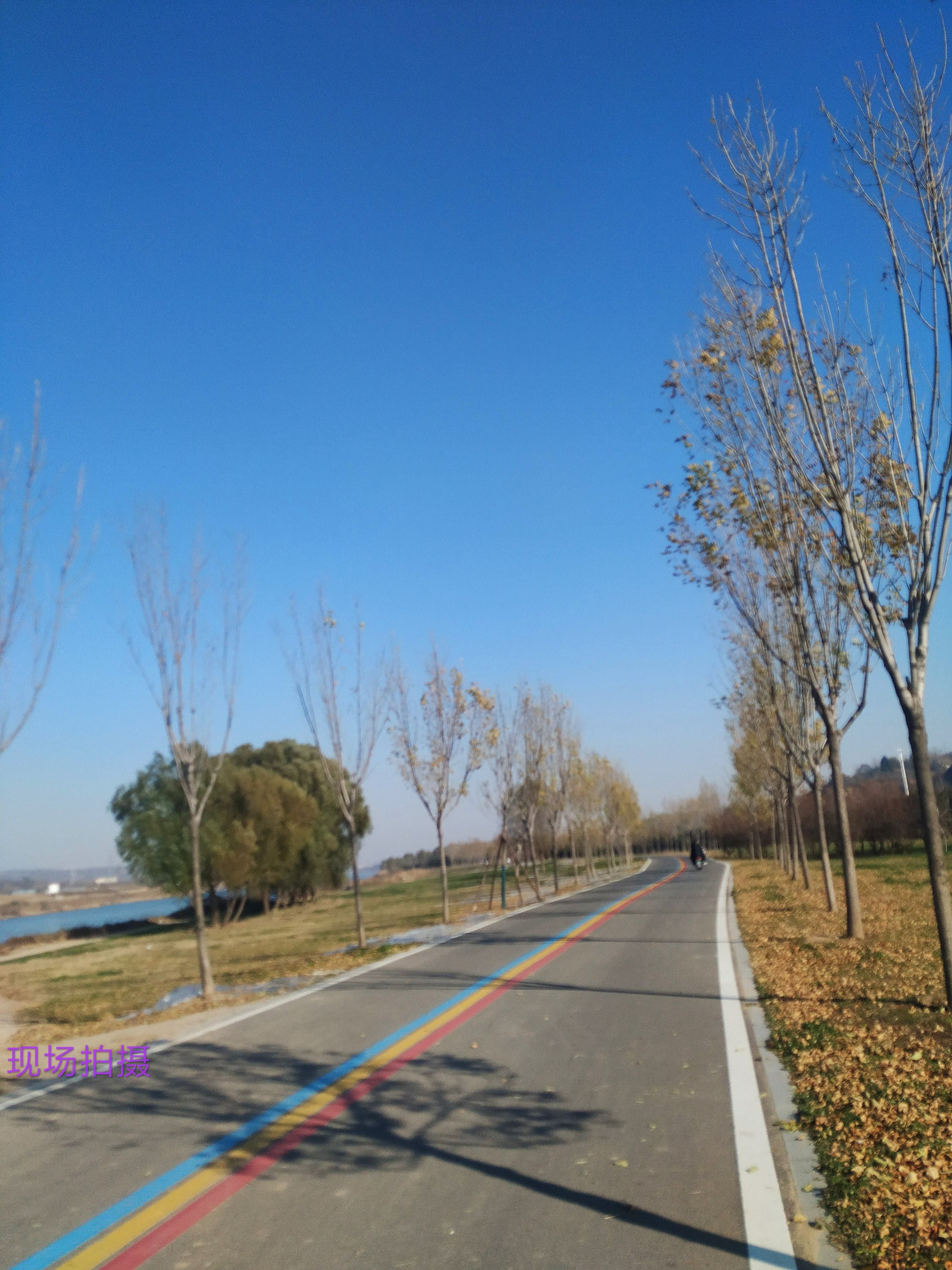伊洛河健康主题公园旅行图片 3