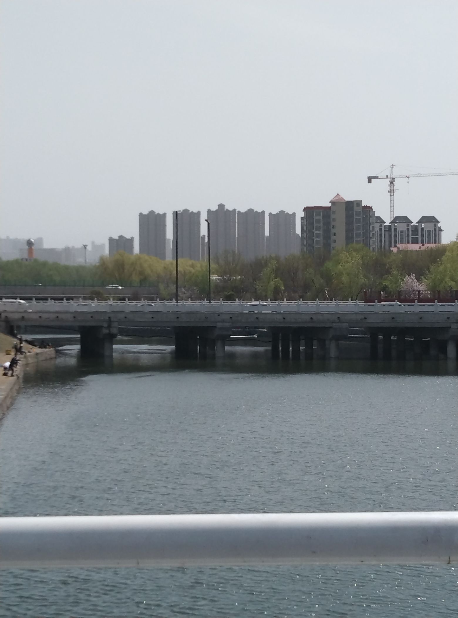 伊洛河健康主题公园旅行图片 3