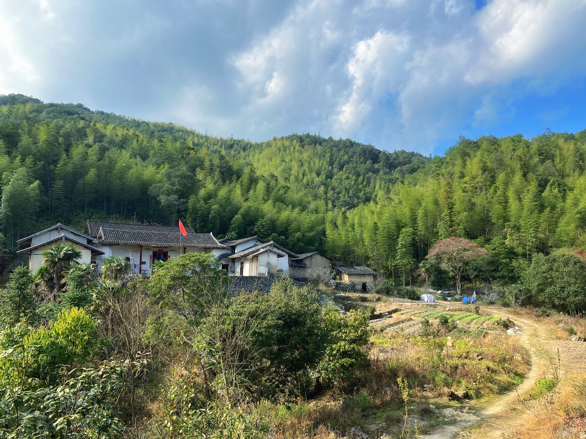 公坪山旅行图片 2