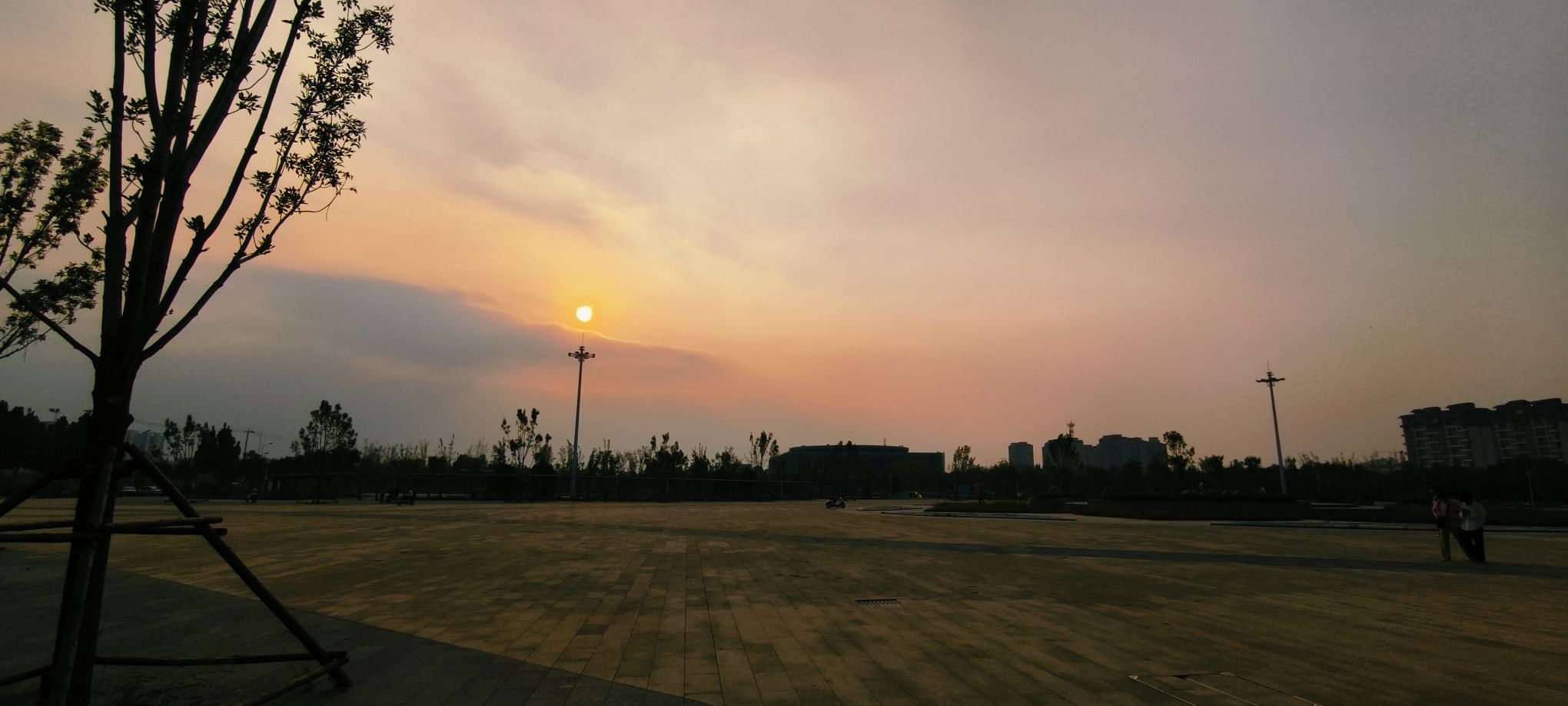中央公园旅行图片 2