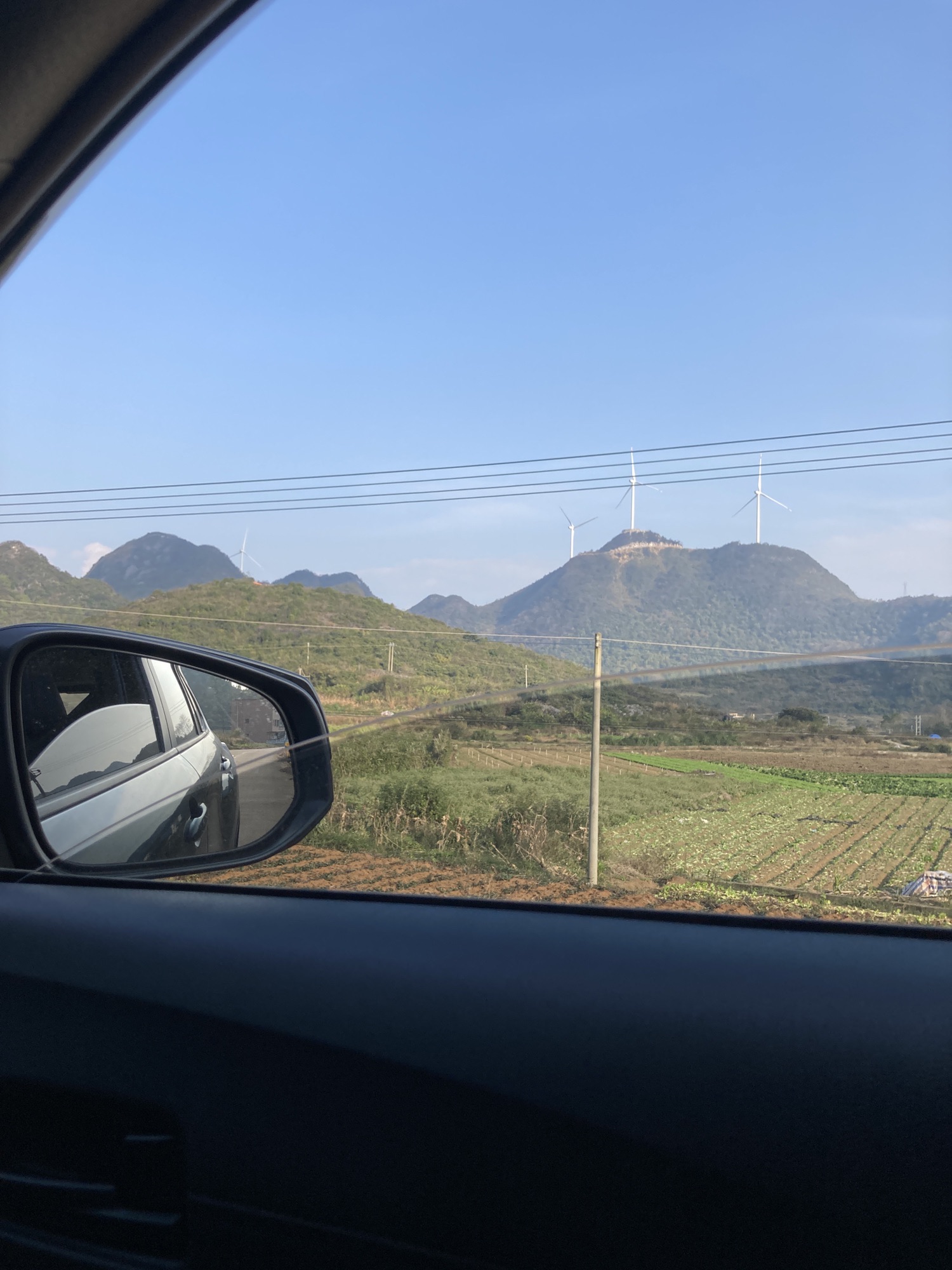 千年银杏景区旅行图片 1