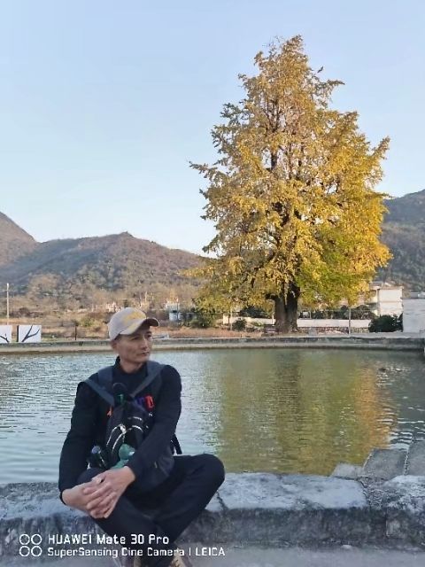 千年银杏景区旅行图片 2